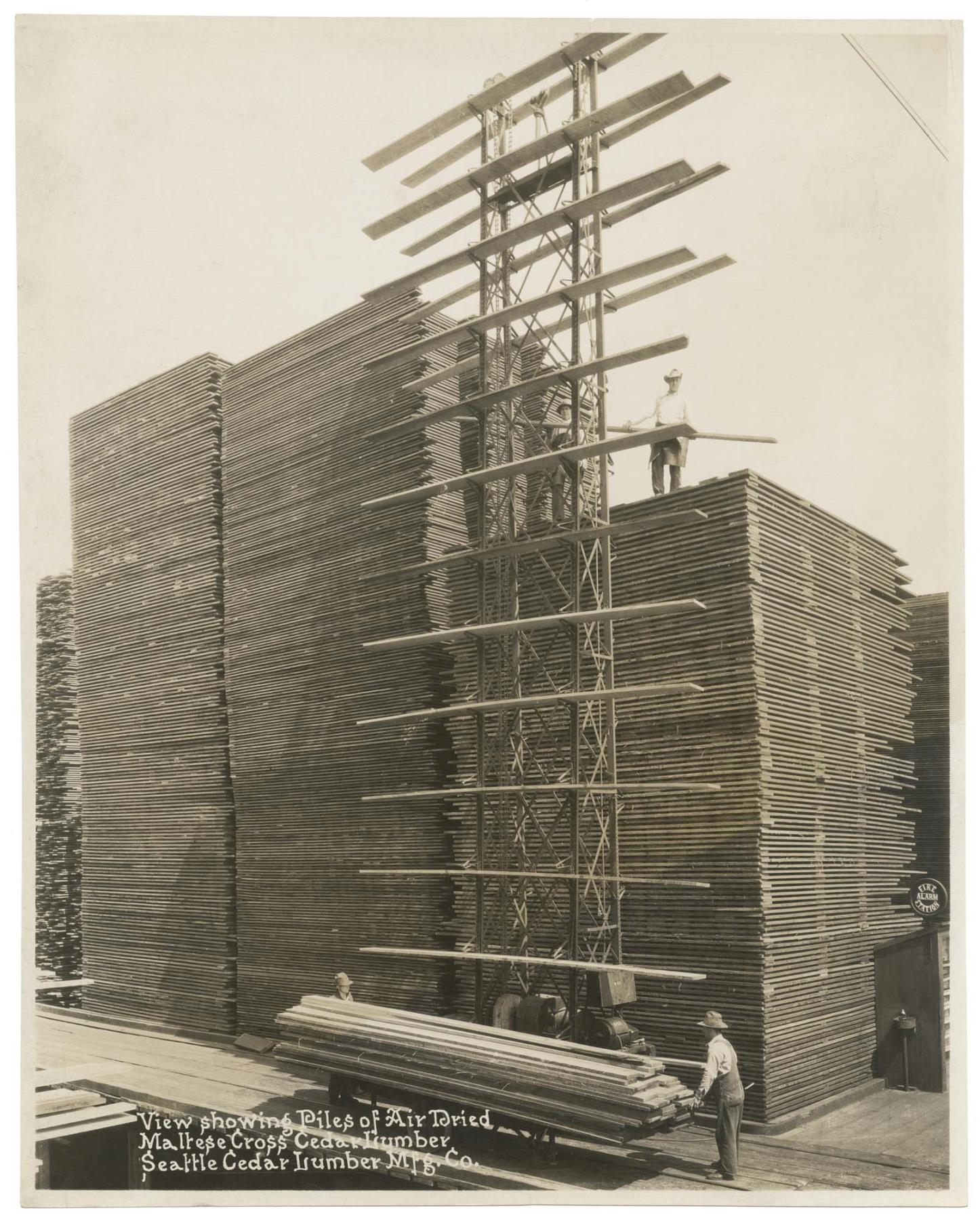 Image of Men stacking lumber at Seattle Cedar Lumber Manufacturing Company, circa 1920