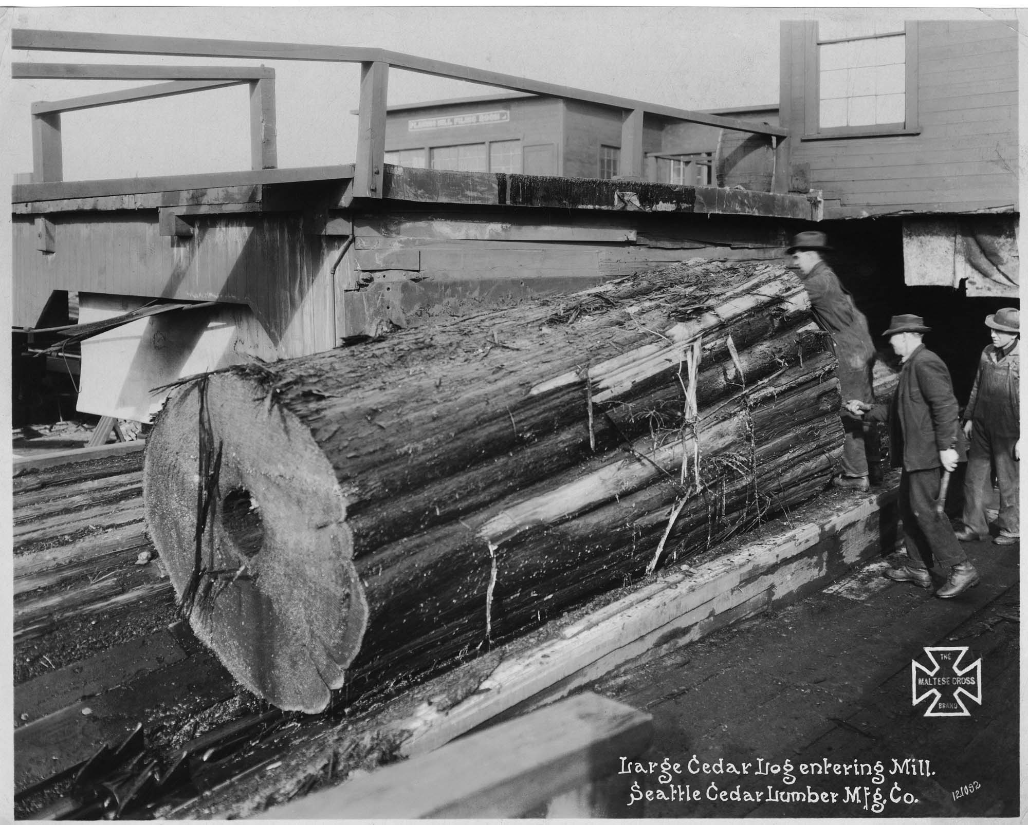 Image of Men with large cedar log at Seattle Cedar Lumber Manufacturing Co. yard, circa 1920