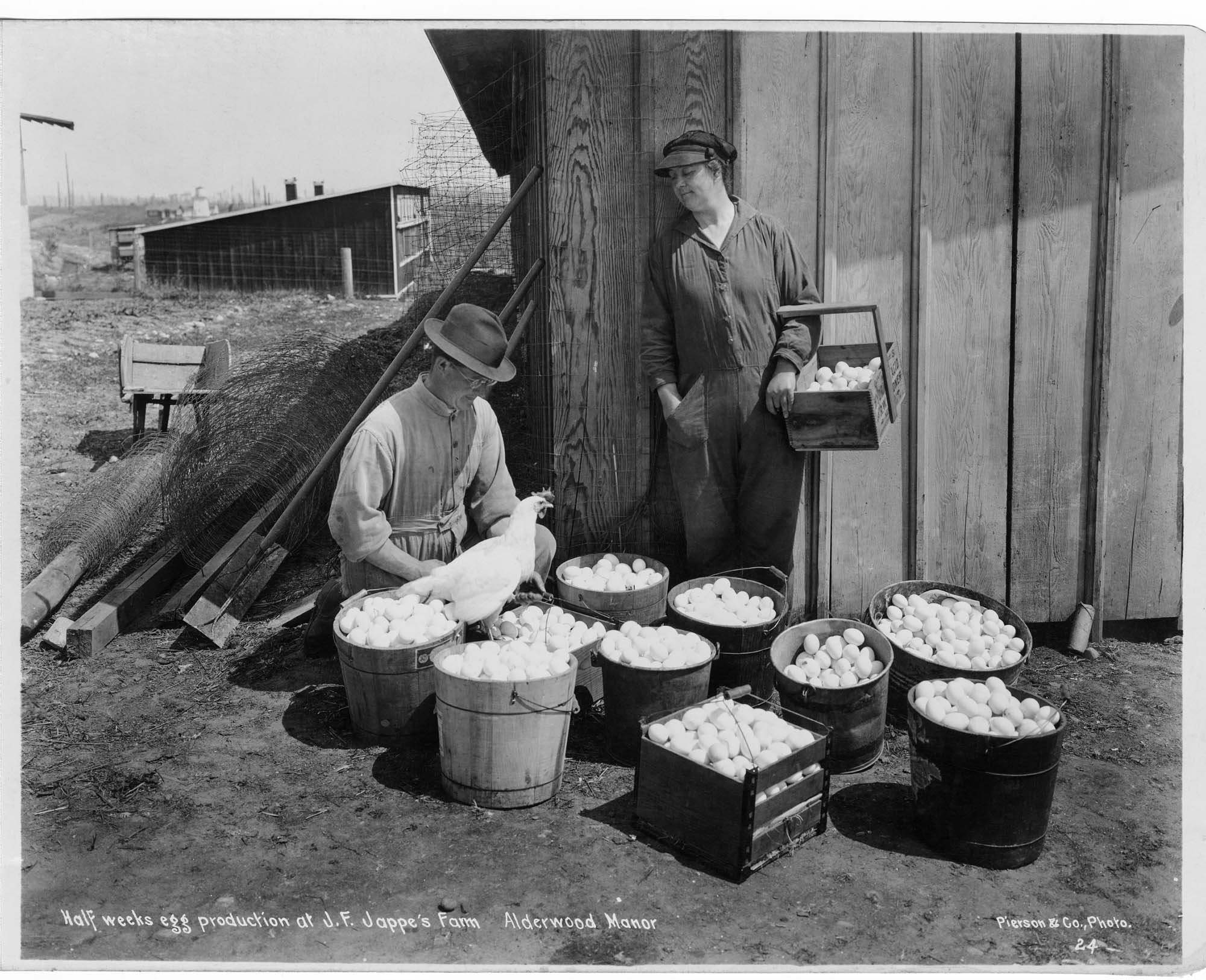 Image of Man and woman with chicken and eggs at J.F. Jappe's Farm, Alderwood Manor, circa 1925