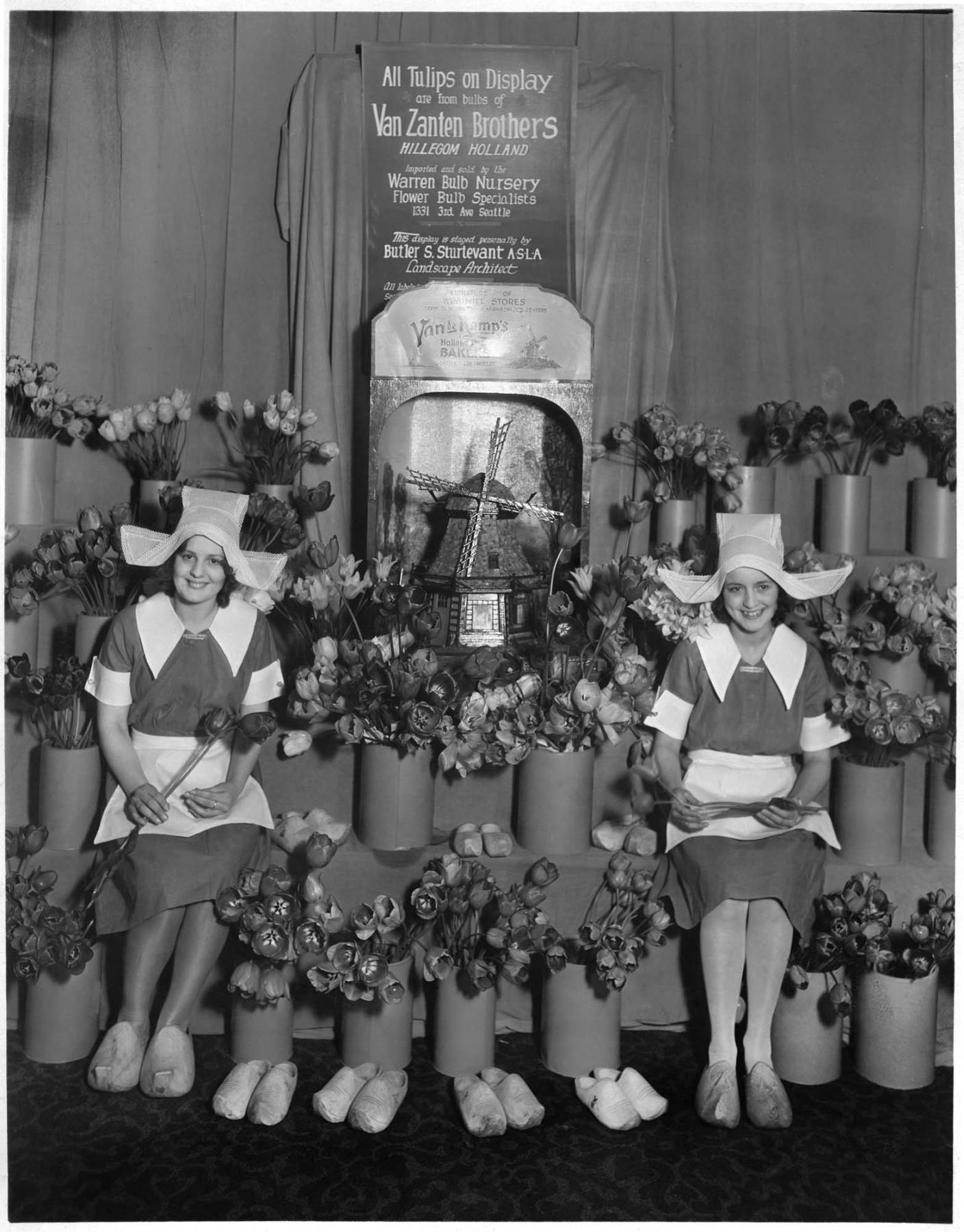 Image of Girls wearing Dutch costumes in tulip display, Seattle, circa 1930