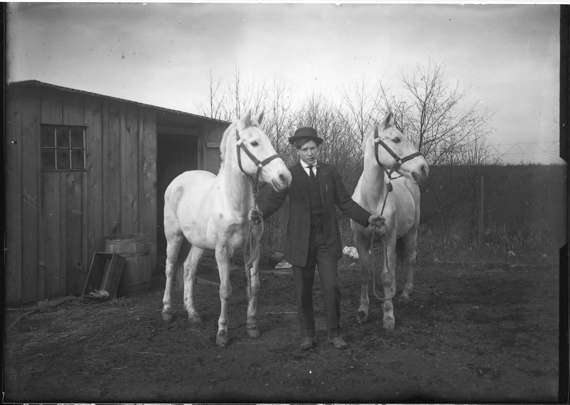 Image of Carl Anderson with horses, Seattle, circa 1910