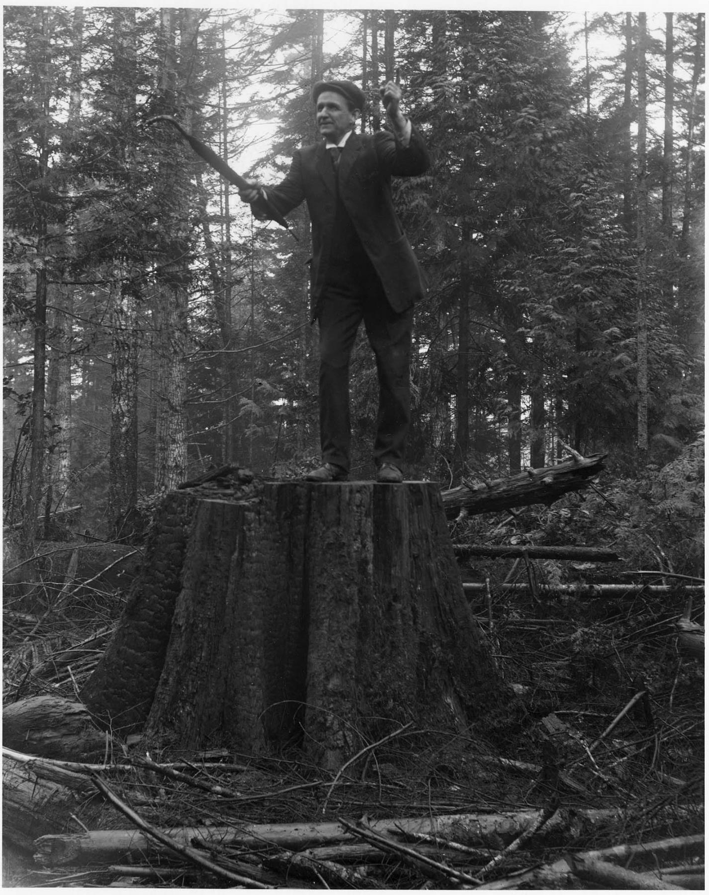 Image of Edward Nolan on stump, Seattle, circa 1910