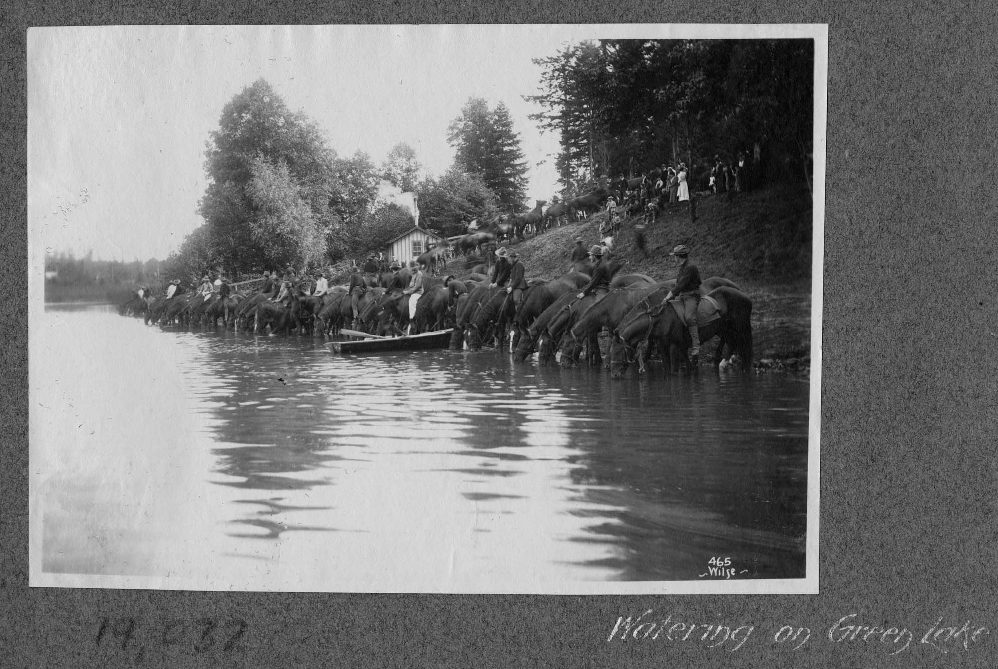 Image of Watering Horses on Green Lake, Seattle, August 1899