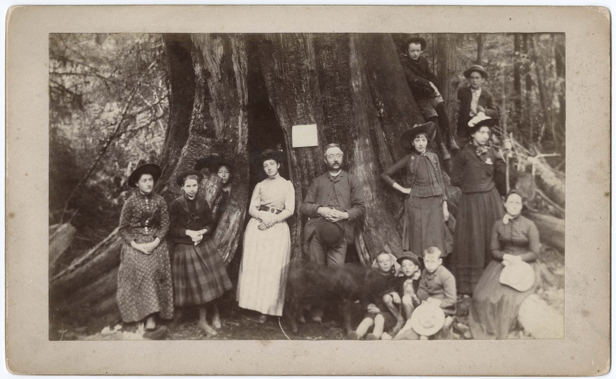 Image of Campbell and Corliss families with tree stump, 1890