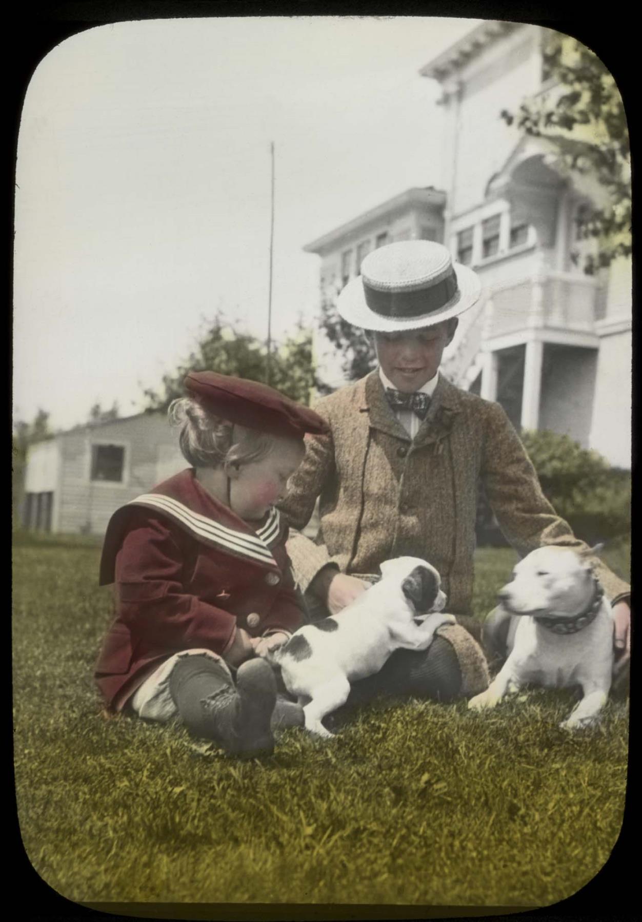 Image of Charles and James Clise with puppies, Redmond, circa 1905