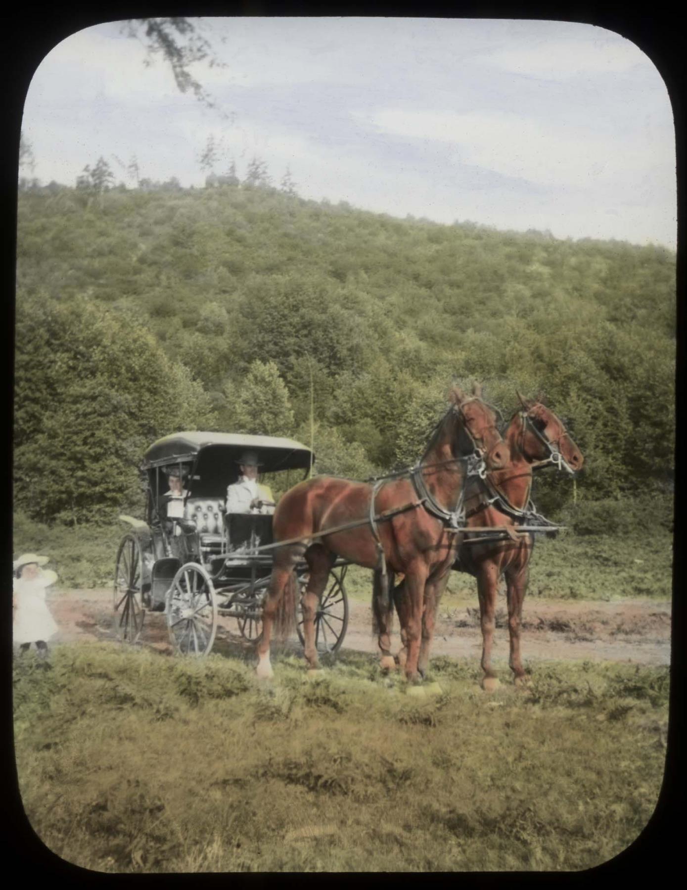 Image of Horse-drawn buggy, probably at Willowmoor Farm, Redmond, circa 1910