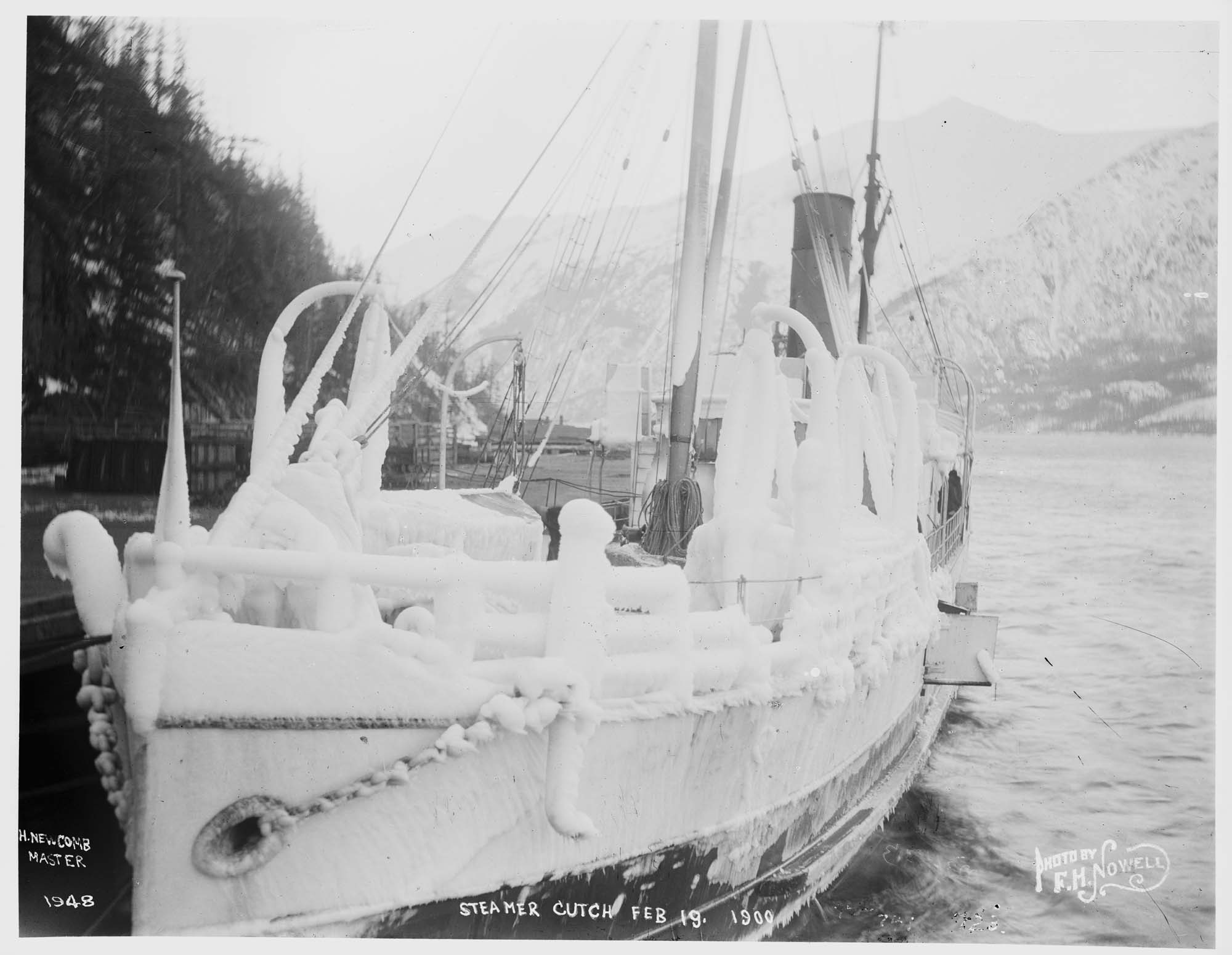 Image of Steamer 