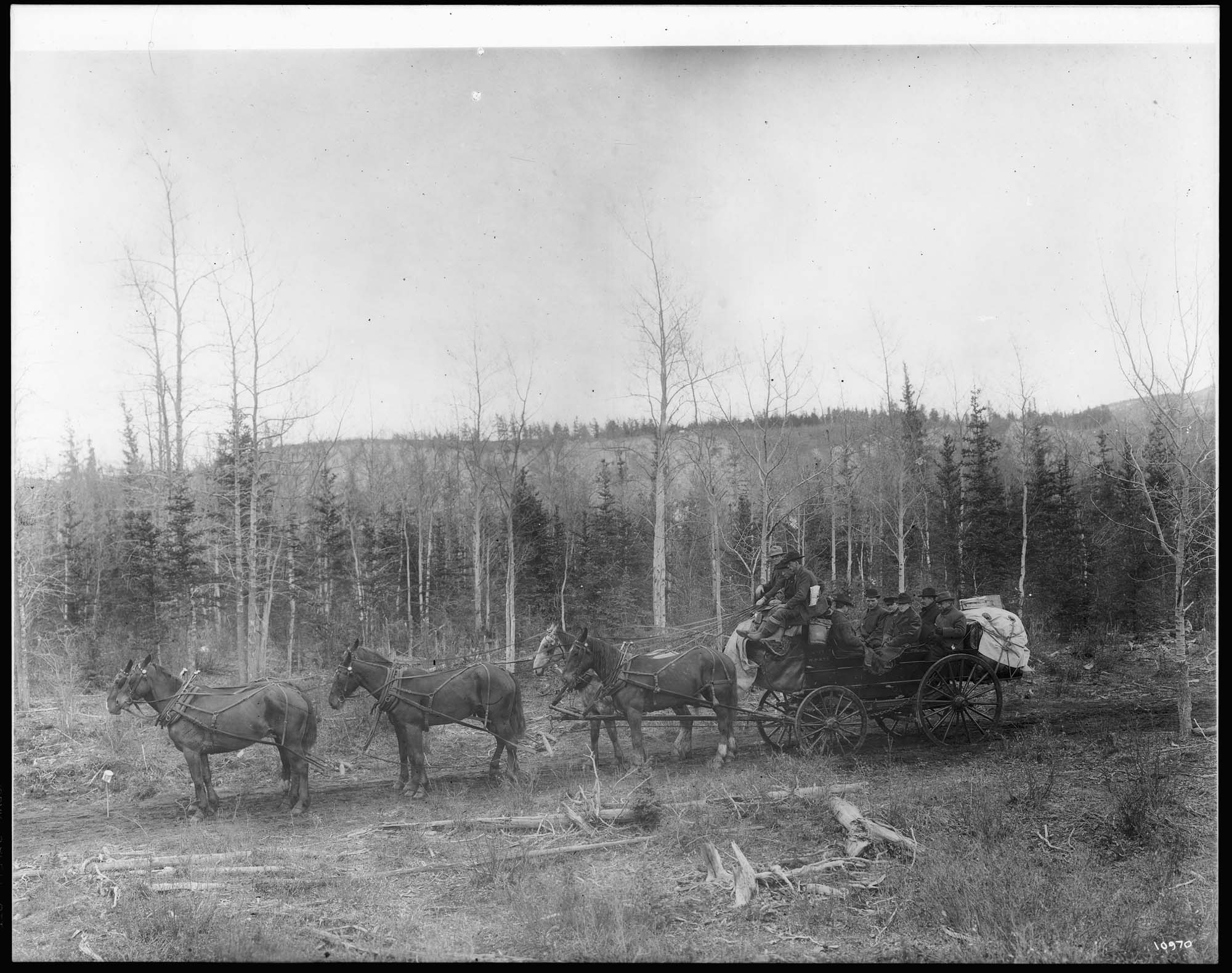 Image of Wagon on the White Pass & Yukon Route, circa 1902