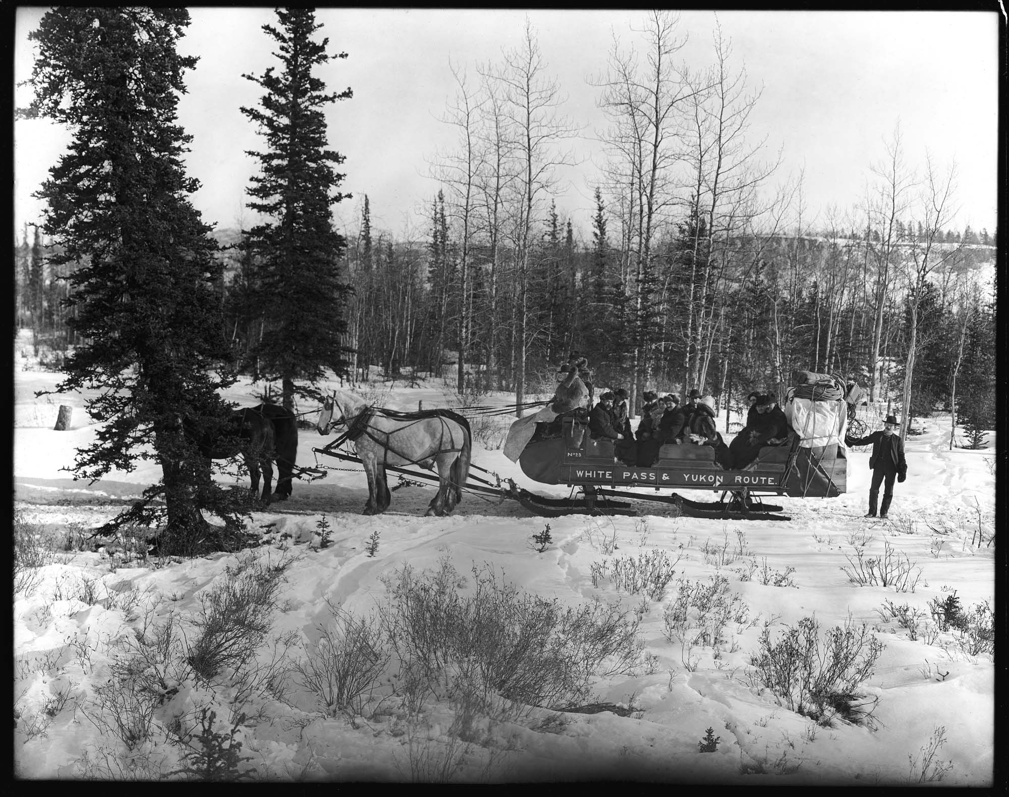 Image of White Pass & Yukon Route sleigh, 1905