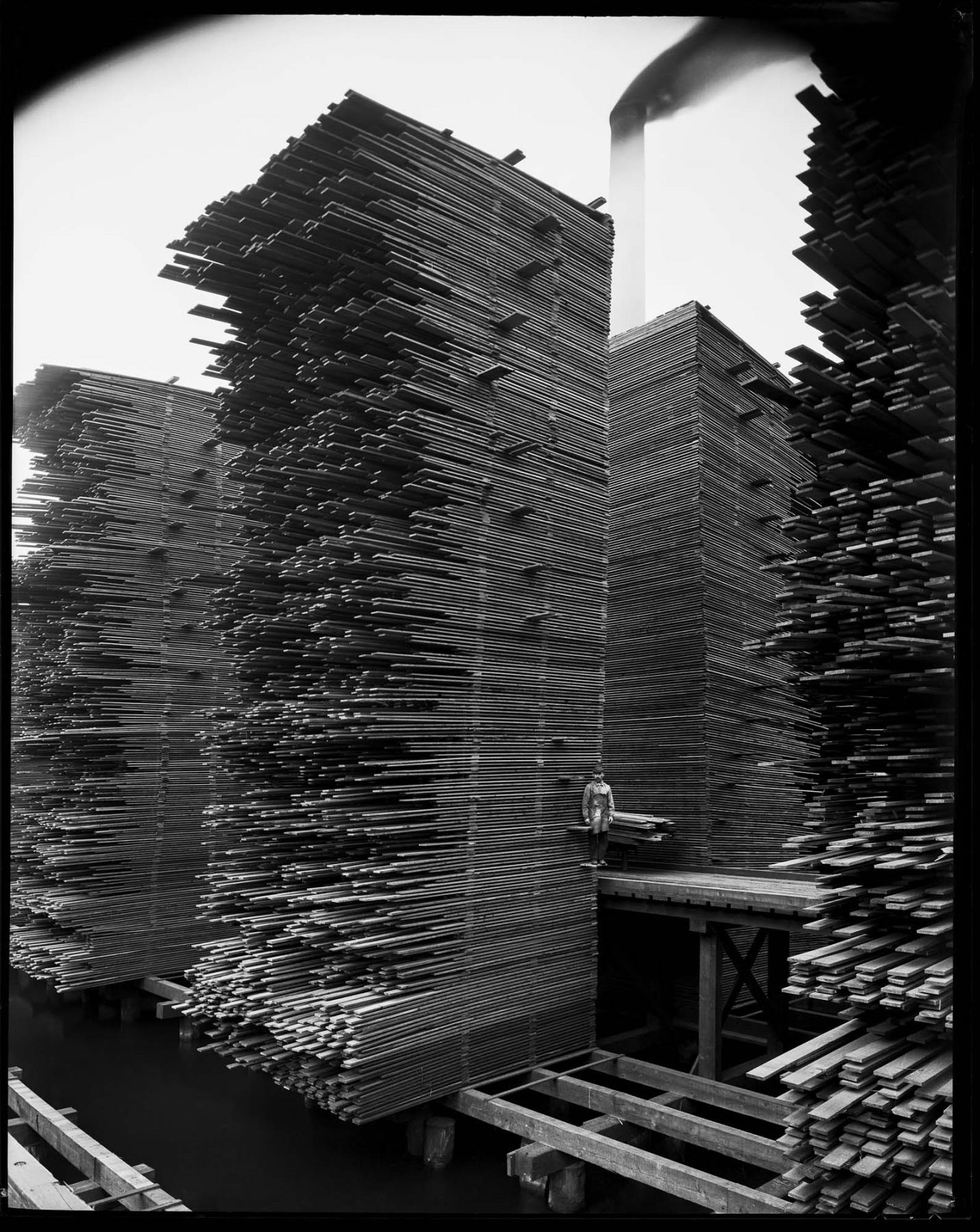 Image of Stacks of lumber drying at the Seattle Cedar Lumber Manufacturing Company's mill in Ballard, circa 1919