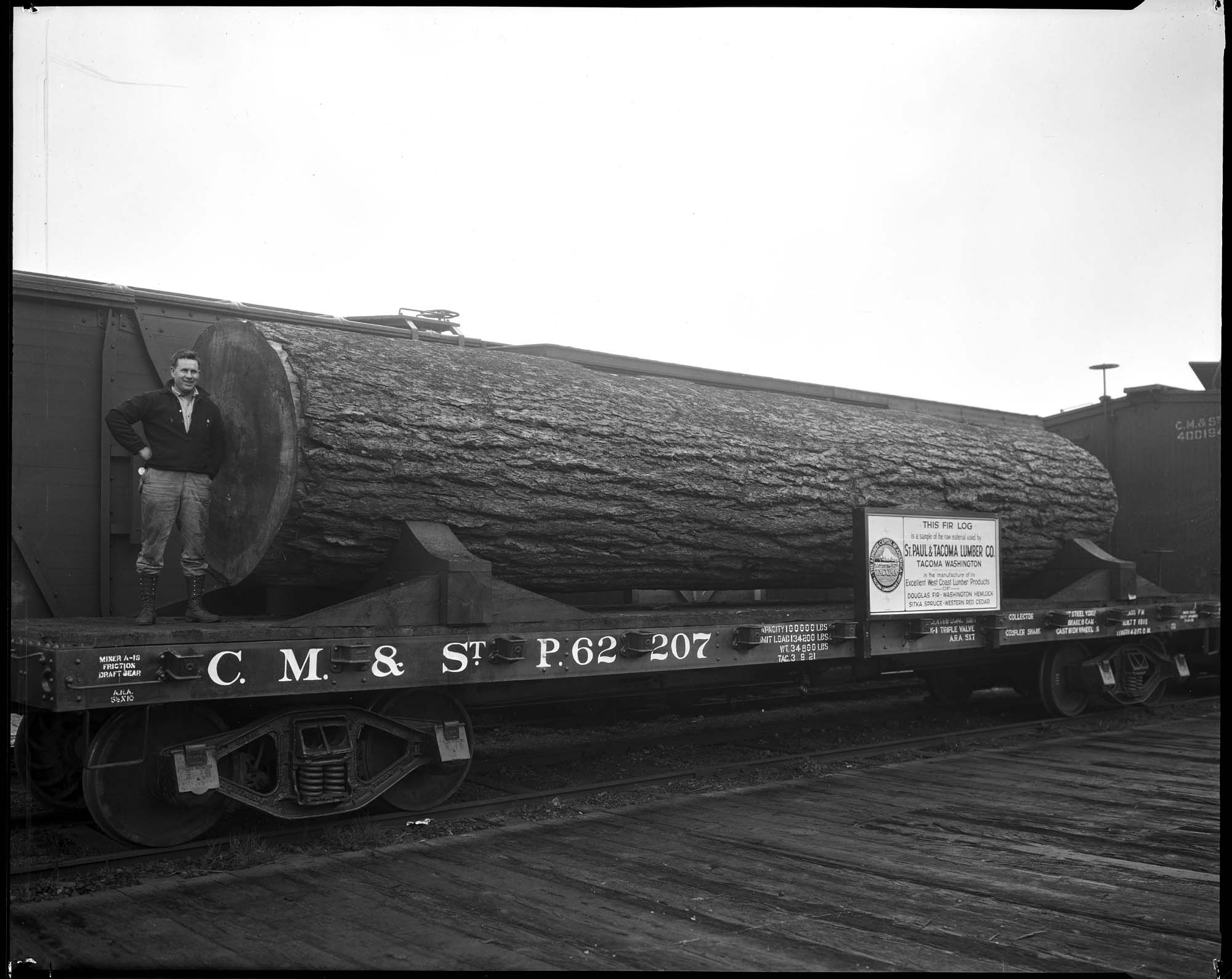 Image of Man and large log on railroad flatcar, circa 1909