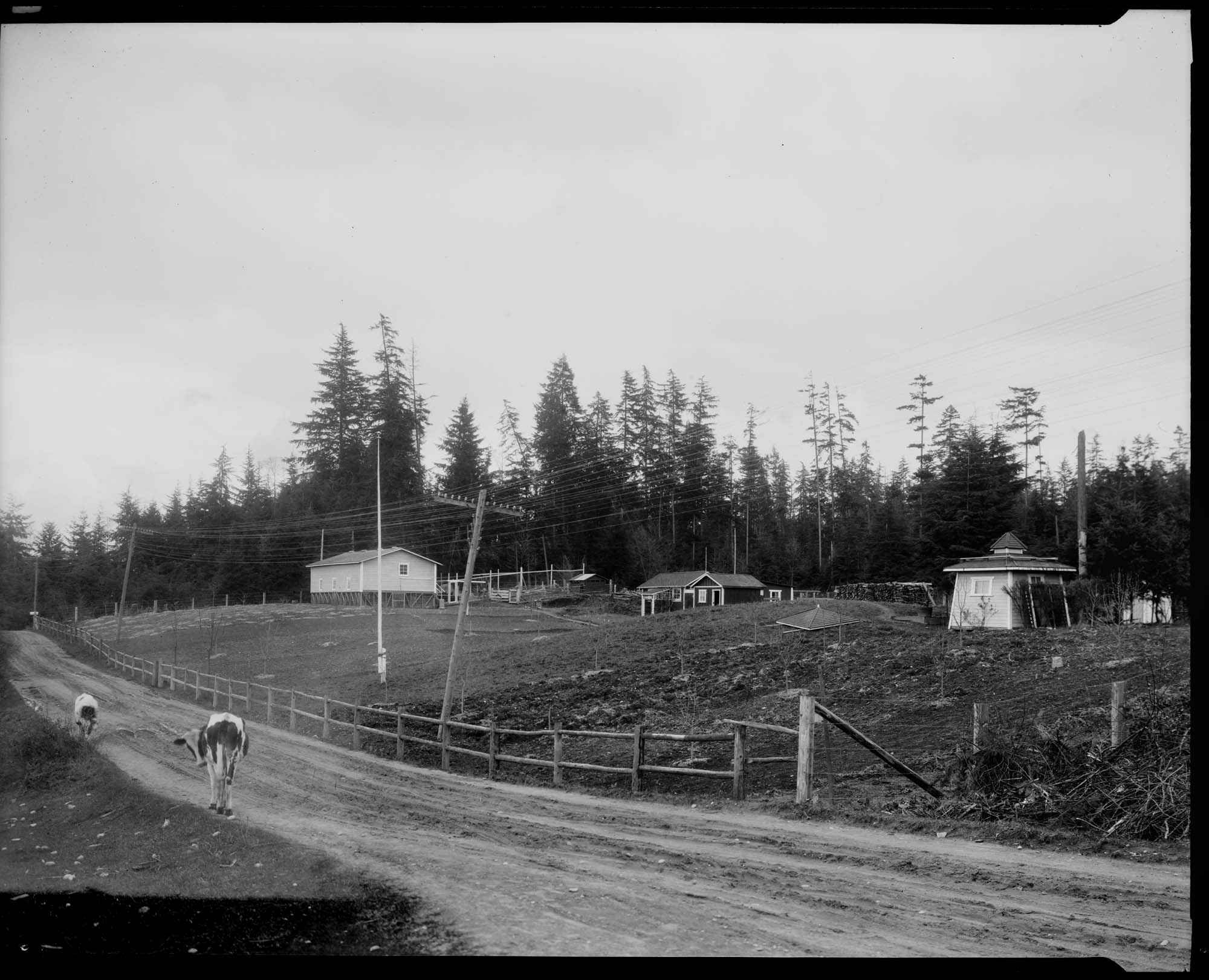 Image of Kirkland farms, 1918