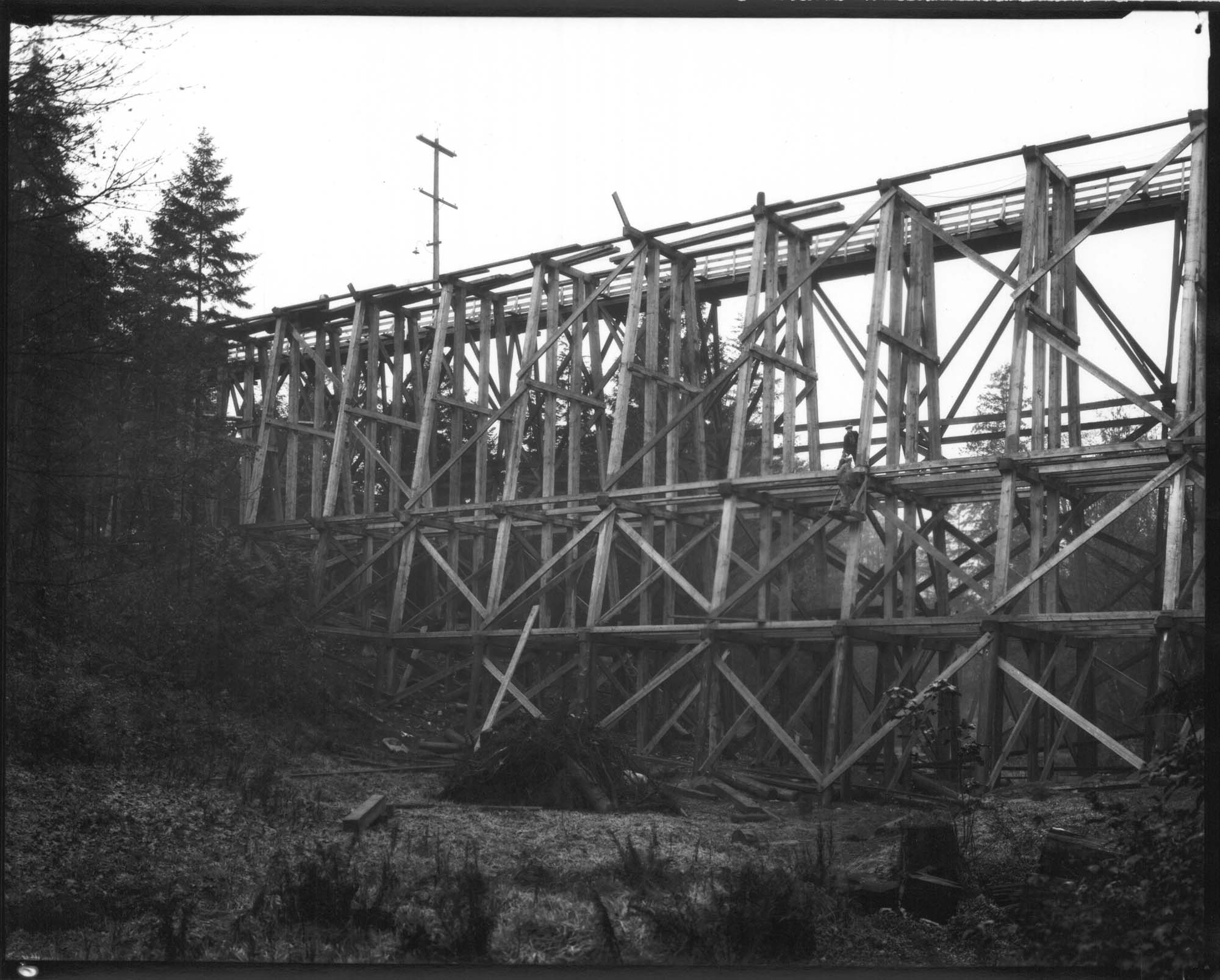 Image of Cowen Park bridge, Seattle, circa 1925