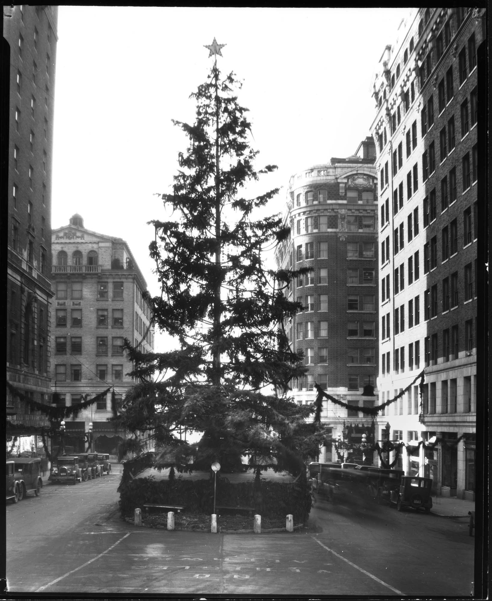 Image of Christmas tree on University Street, circa 1927