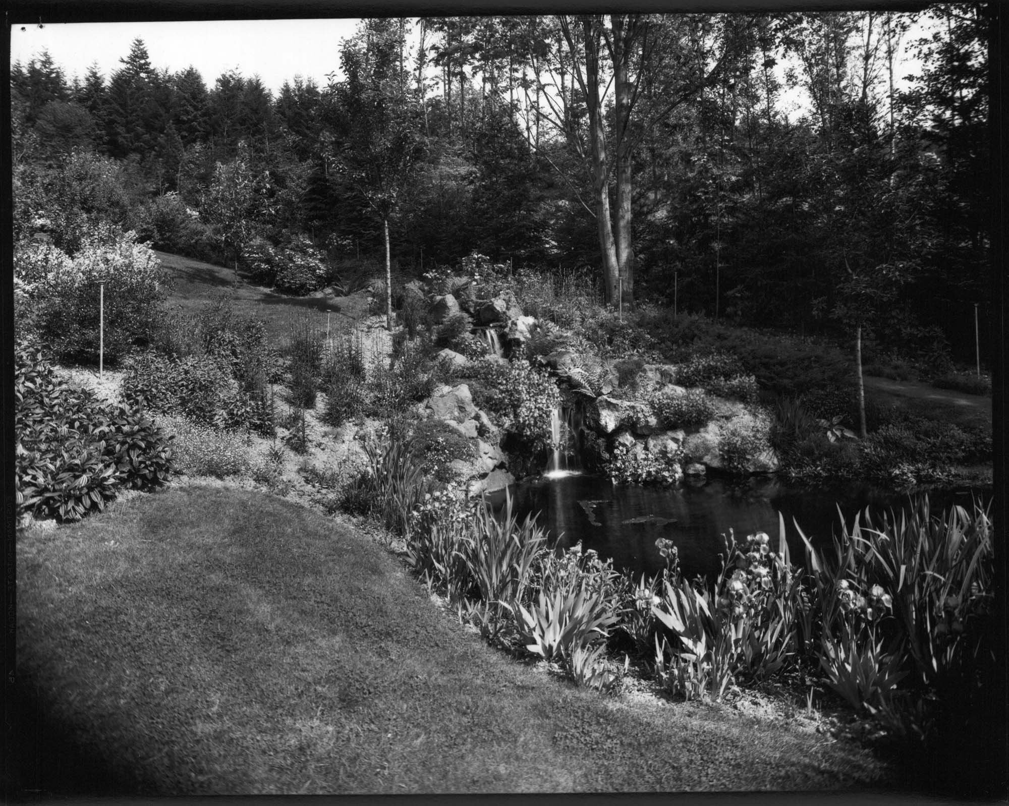 Image of Mrs. J.F. Douglass residence grounds, The Highlands, May 11, 1931