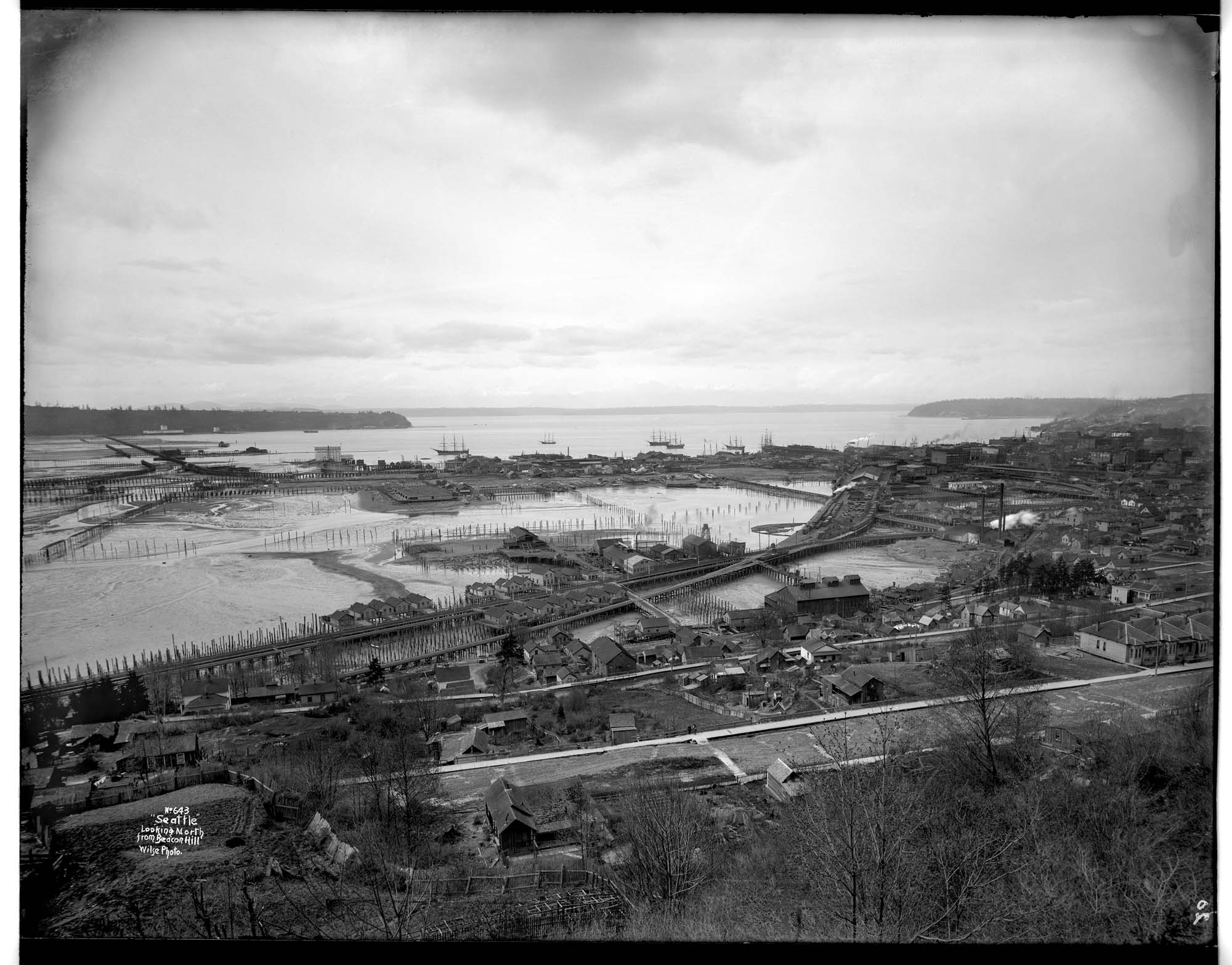 Image of Waterfront and tideflats from Beacon Hill, Seattle, circa 1898