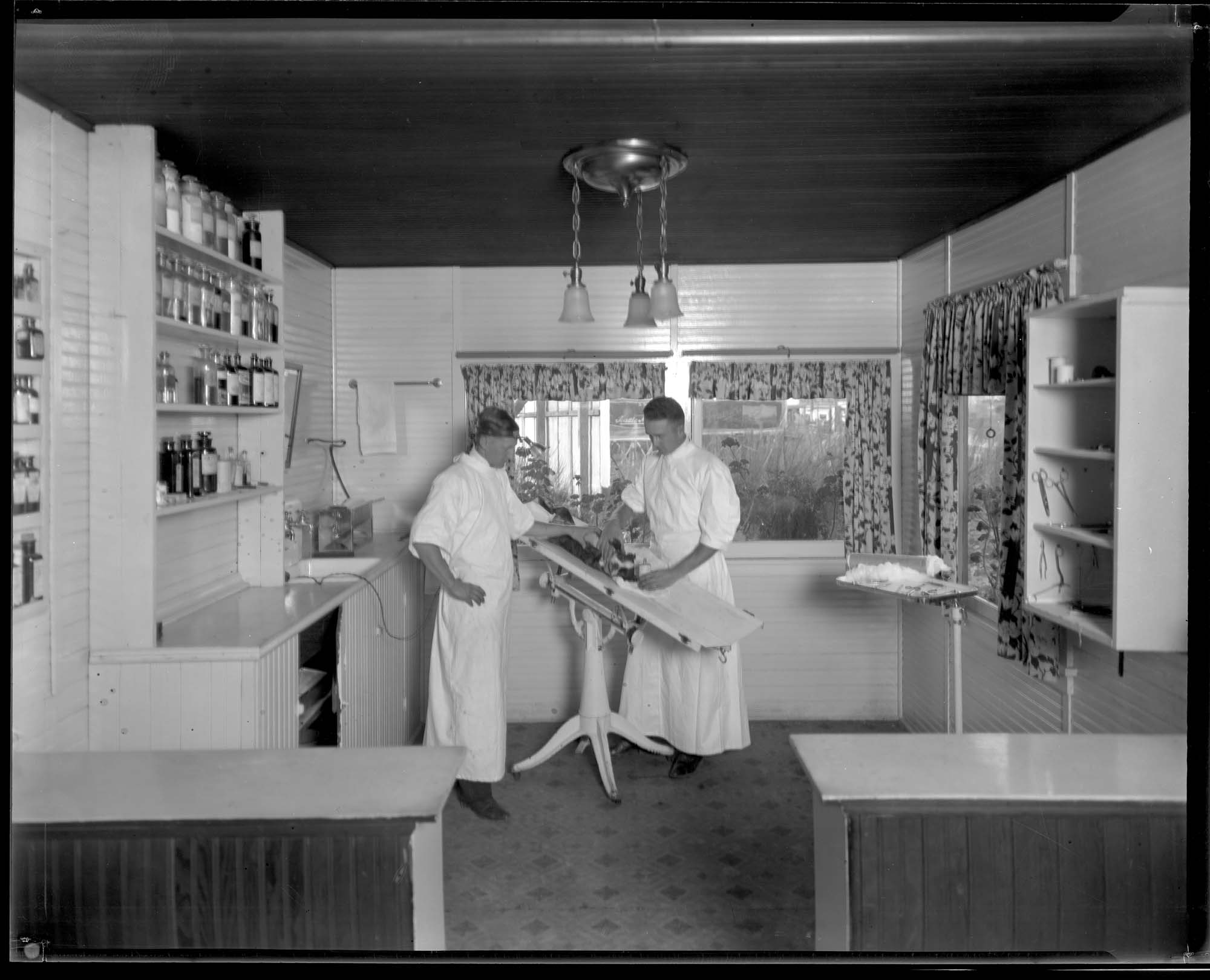 Image of Surgery at the dog and cat hospital, circa 1920