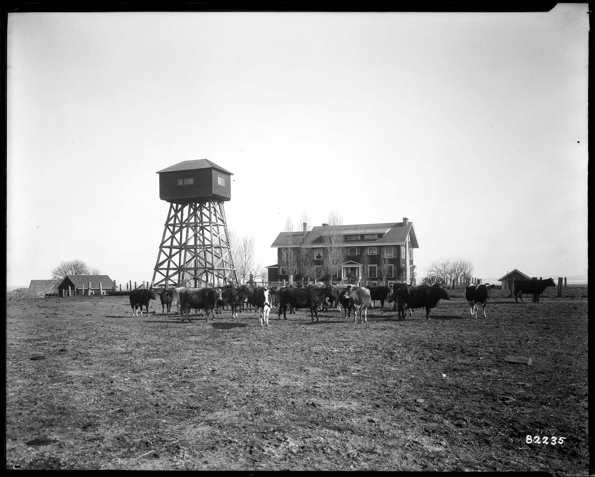 Image of Straights Farm, circa 1925