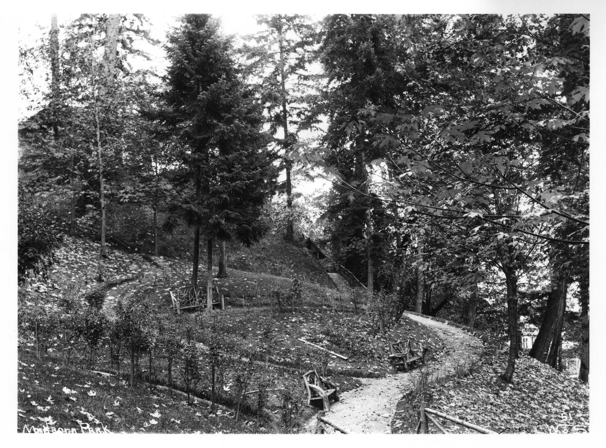 Image of Madrona Park, Seattle, circa 1911