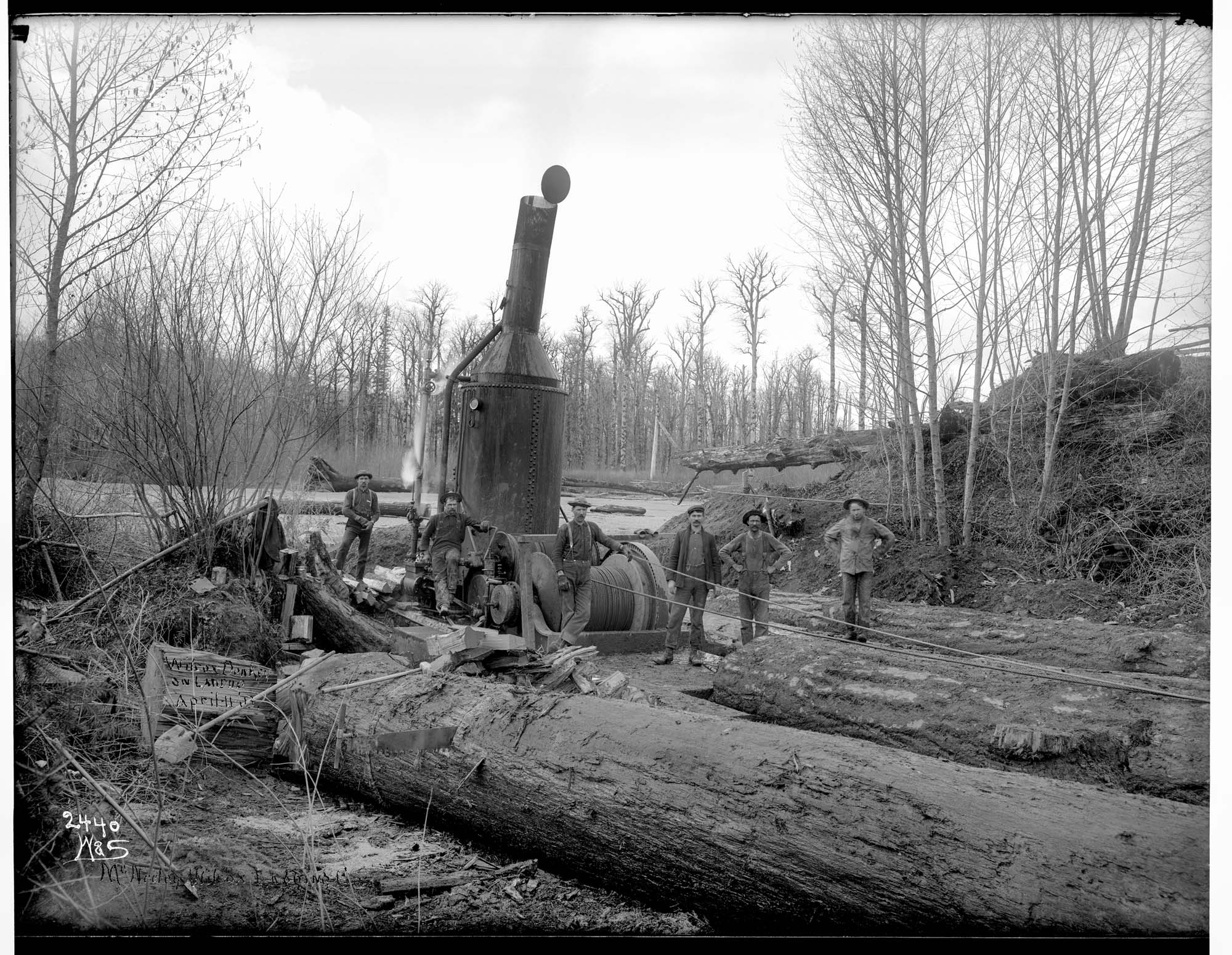 Image of Yarding logs with a steam donkey, April 11, 1903