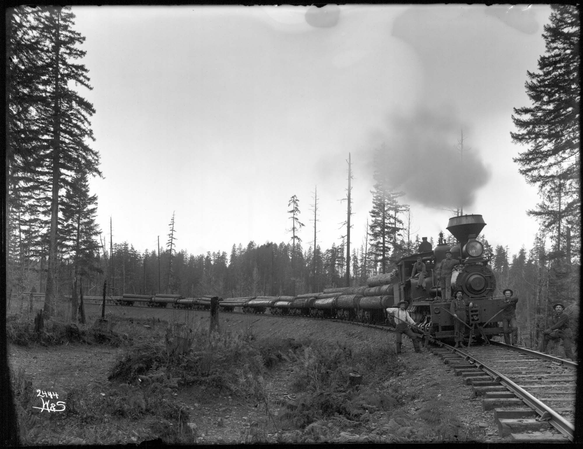 Image of Train hauling logs, circa 1902