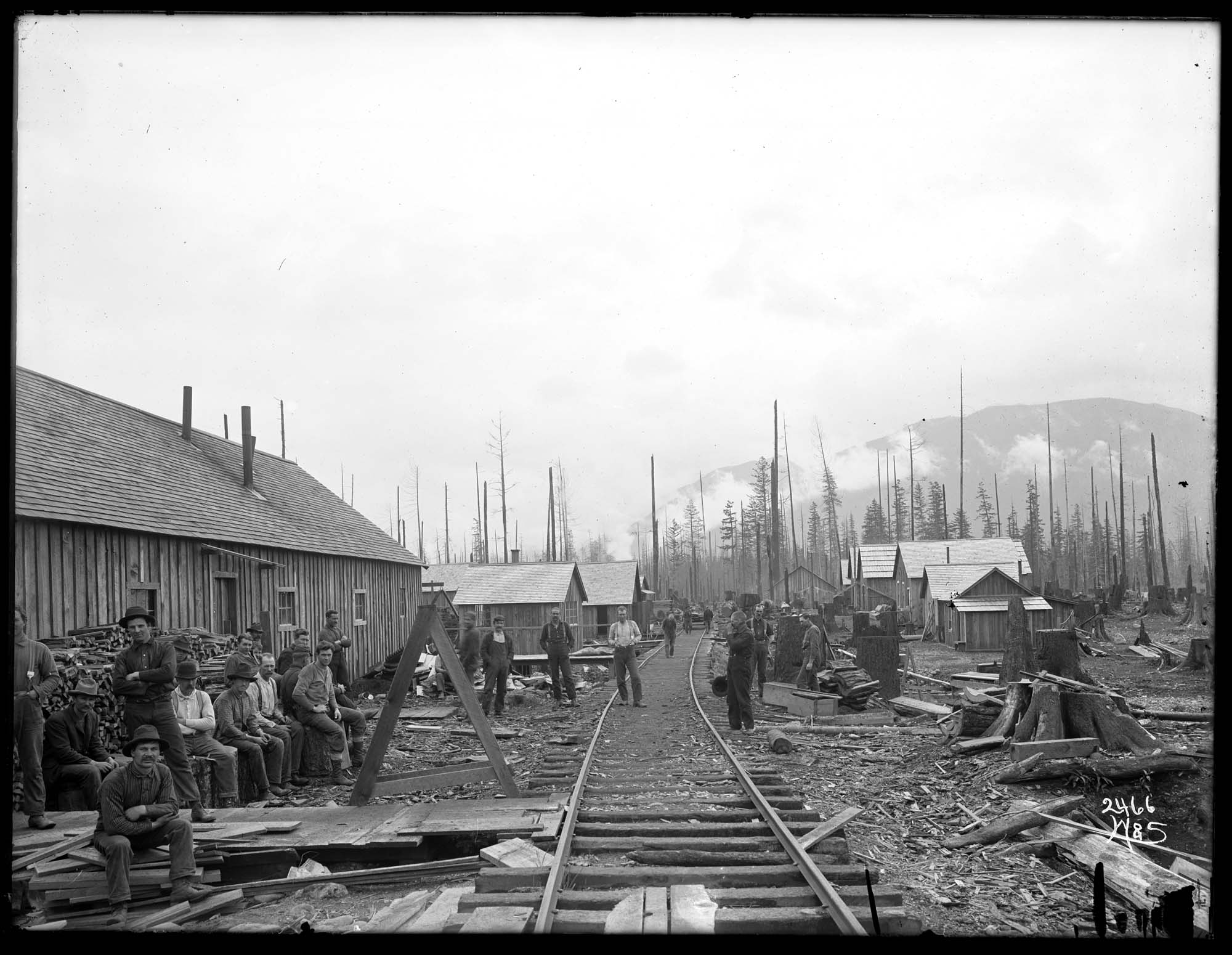Image of Logging camp with crew, circa 1910