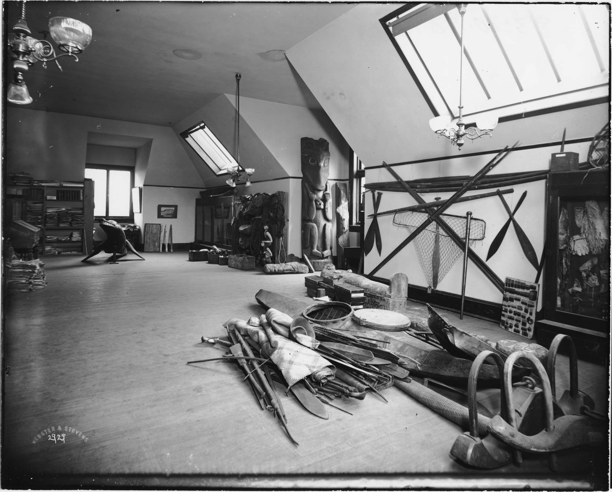 Image of Professor Edmond Meany's museum in Denny Hall, University of Washington, Seattle, circa 1905