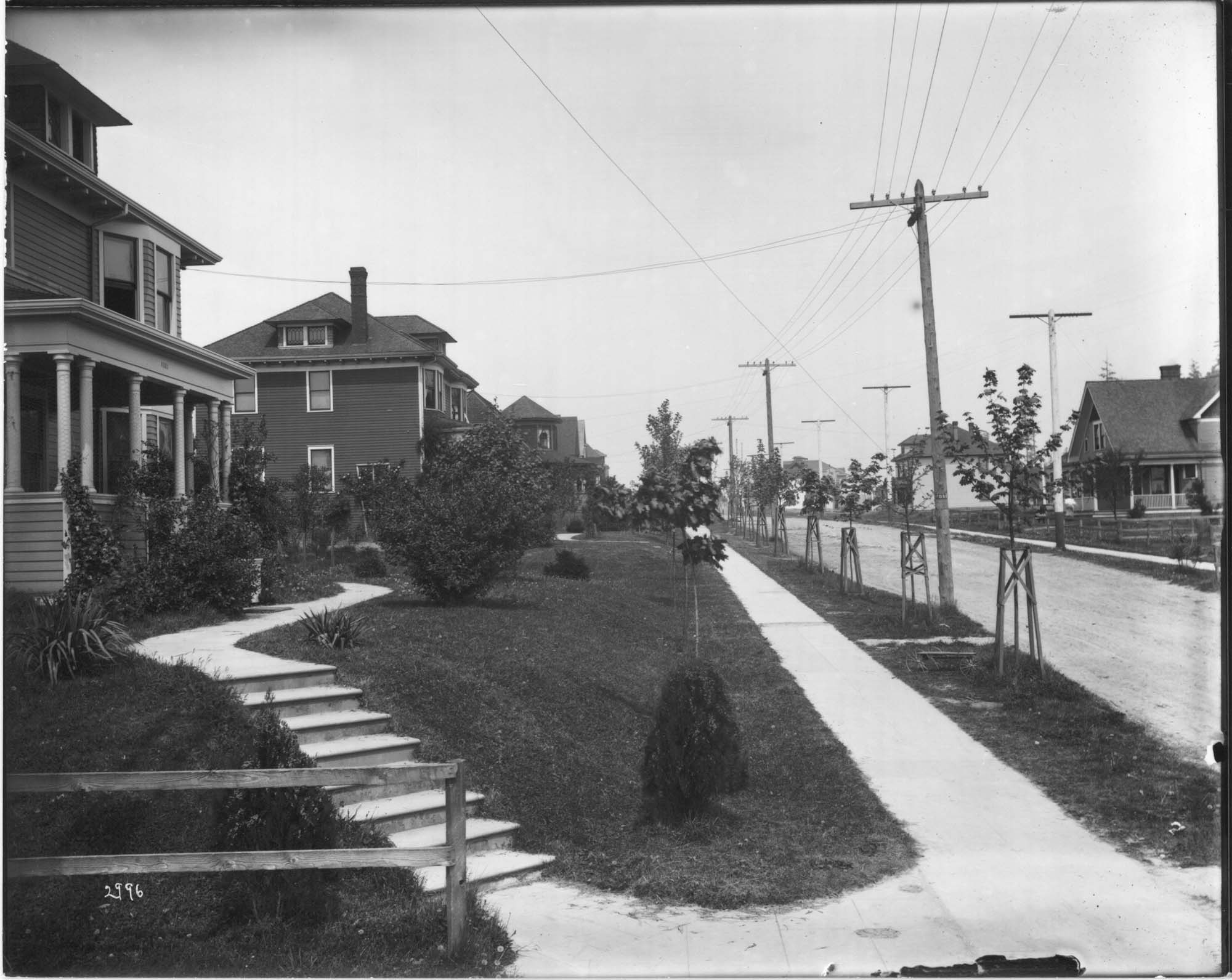 Image of Houses in University District, Seattle, circa 1905