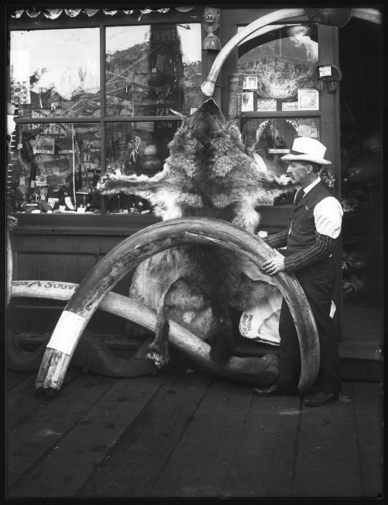 Image of Ye Olde Curiosity Shop, Seattle, circa 1907