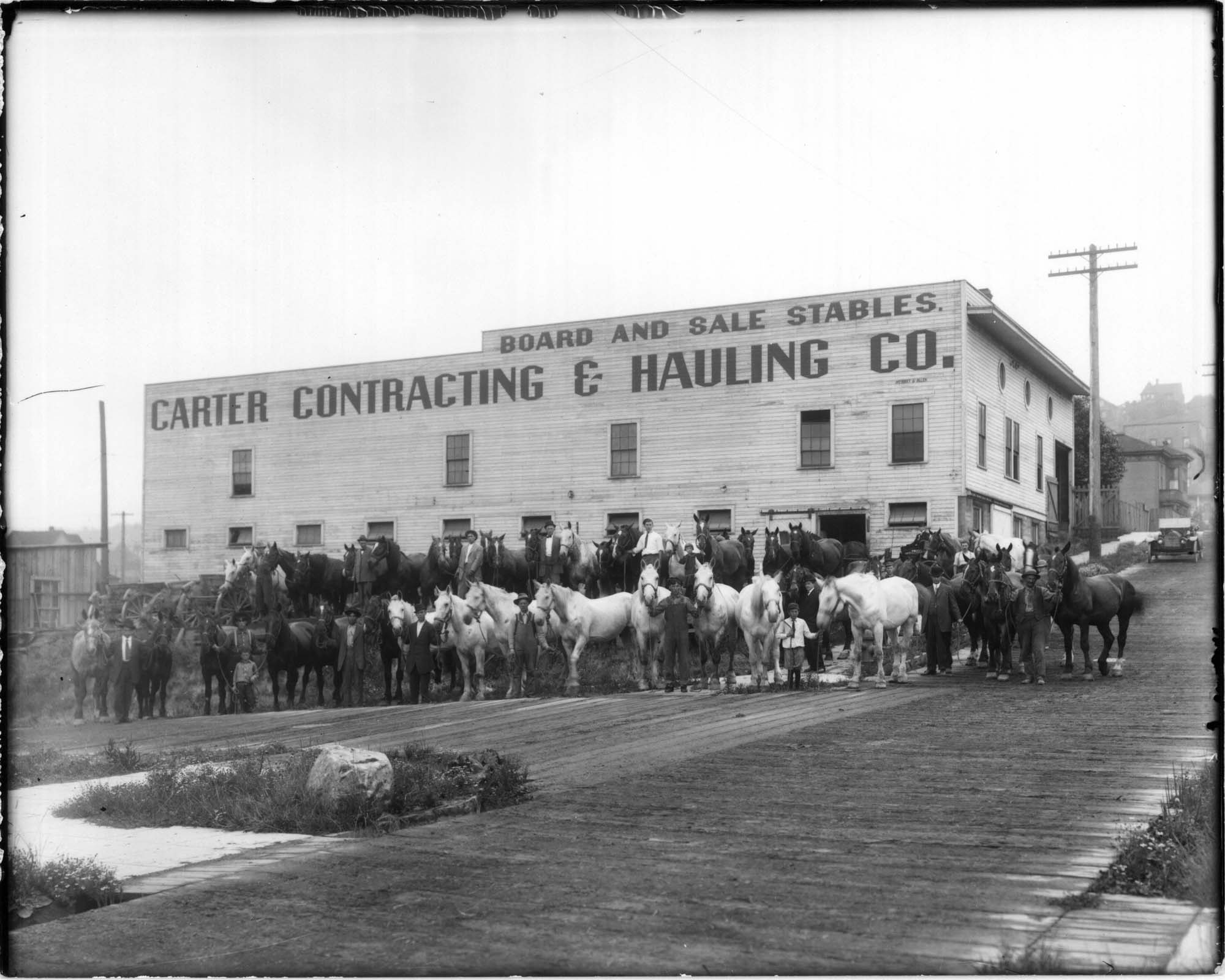 Image of Horses outside Carter Contracting & Hauling Co., Seattle, 1905