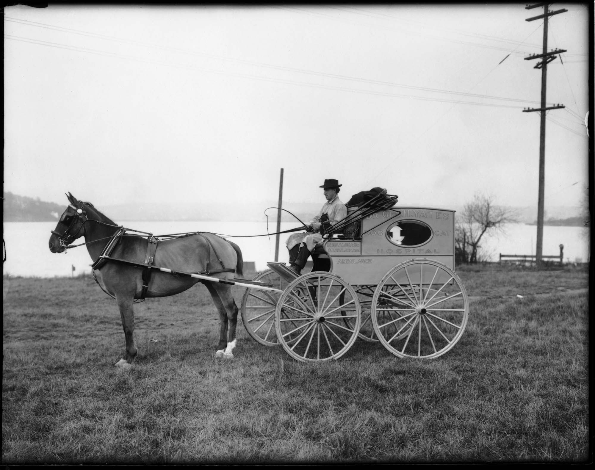 Image of George Yates Dog and Cat Hospital ambulance, Seattle, circa 1910