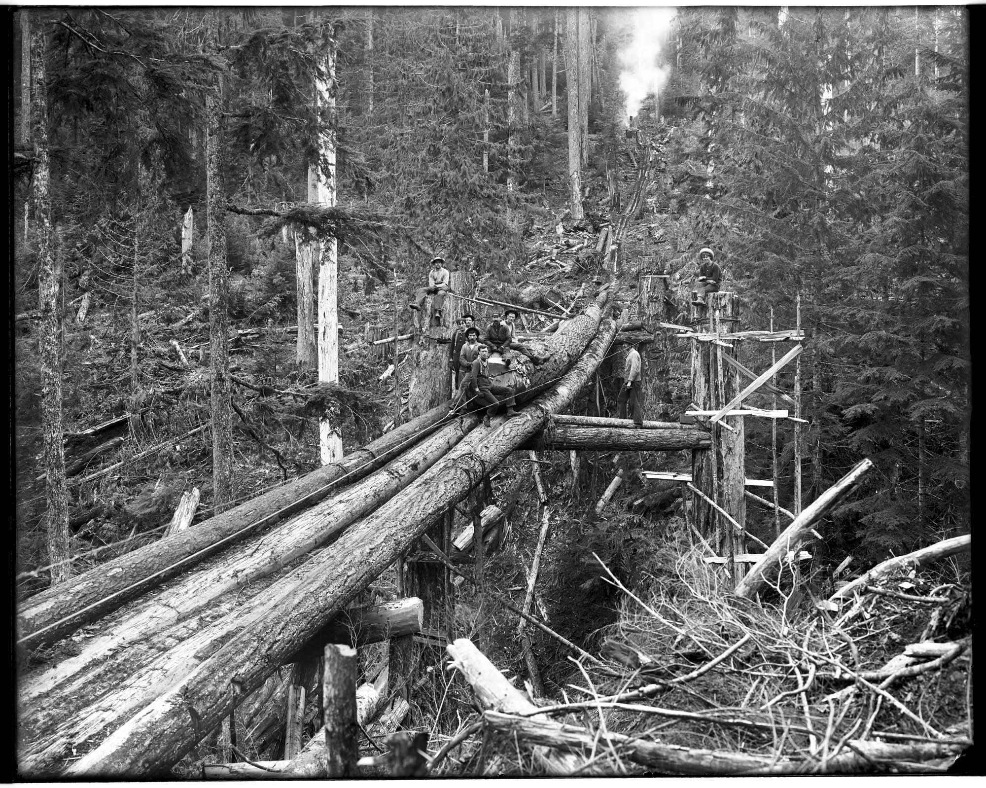 Image of Moving a log down a trailing chute, circa 1910