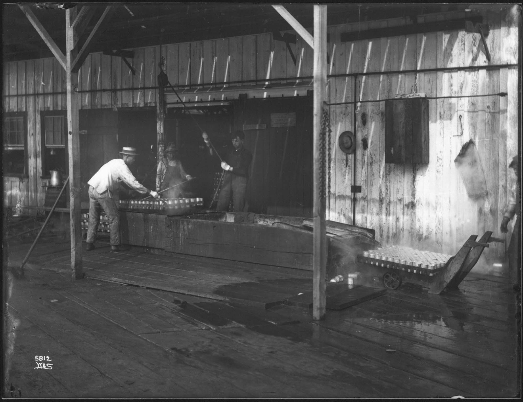 Image of Workers in salmon cannery, circa 1908