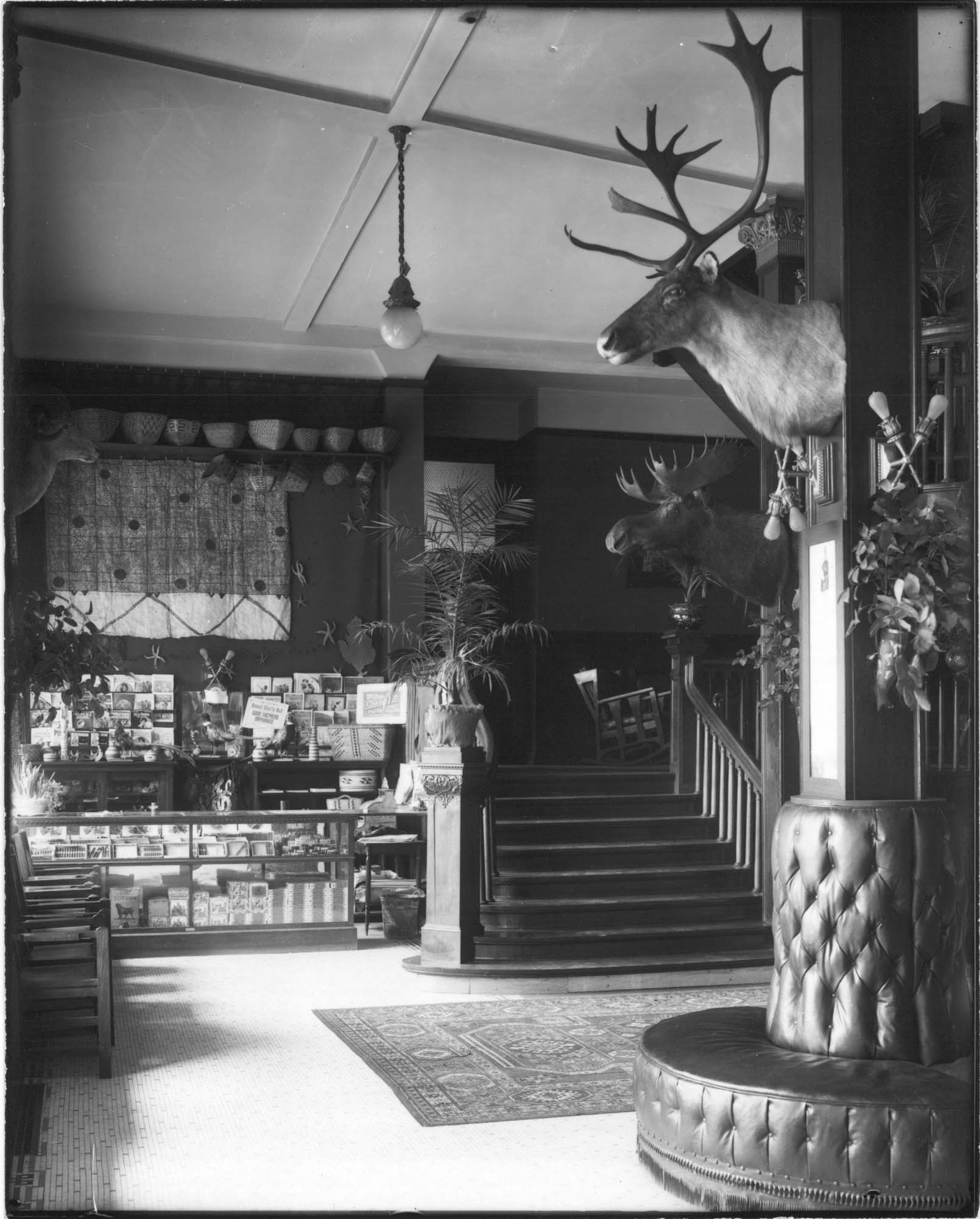 Image of Stander Hotel interior, Seattle, circa 1907