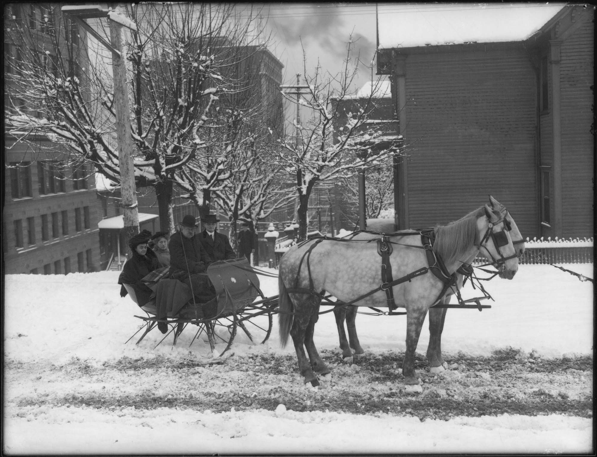 Image of Ramsay family in sleigh, Seattle, circa 1907