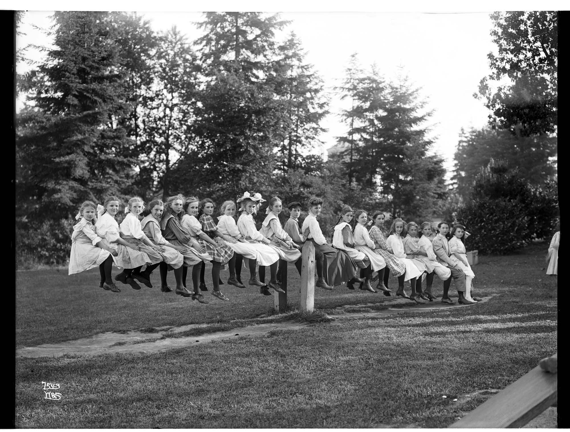 Image of Large group of children on a seesaw in Volunteer Park, circa 1909