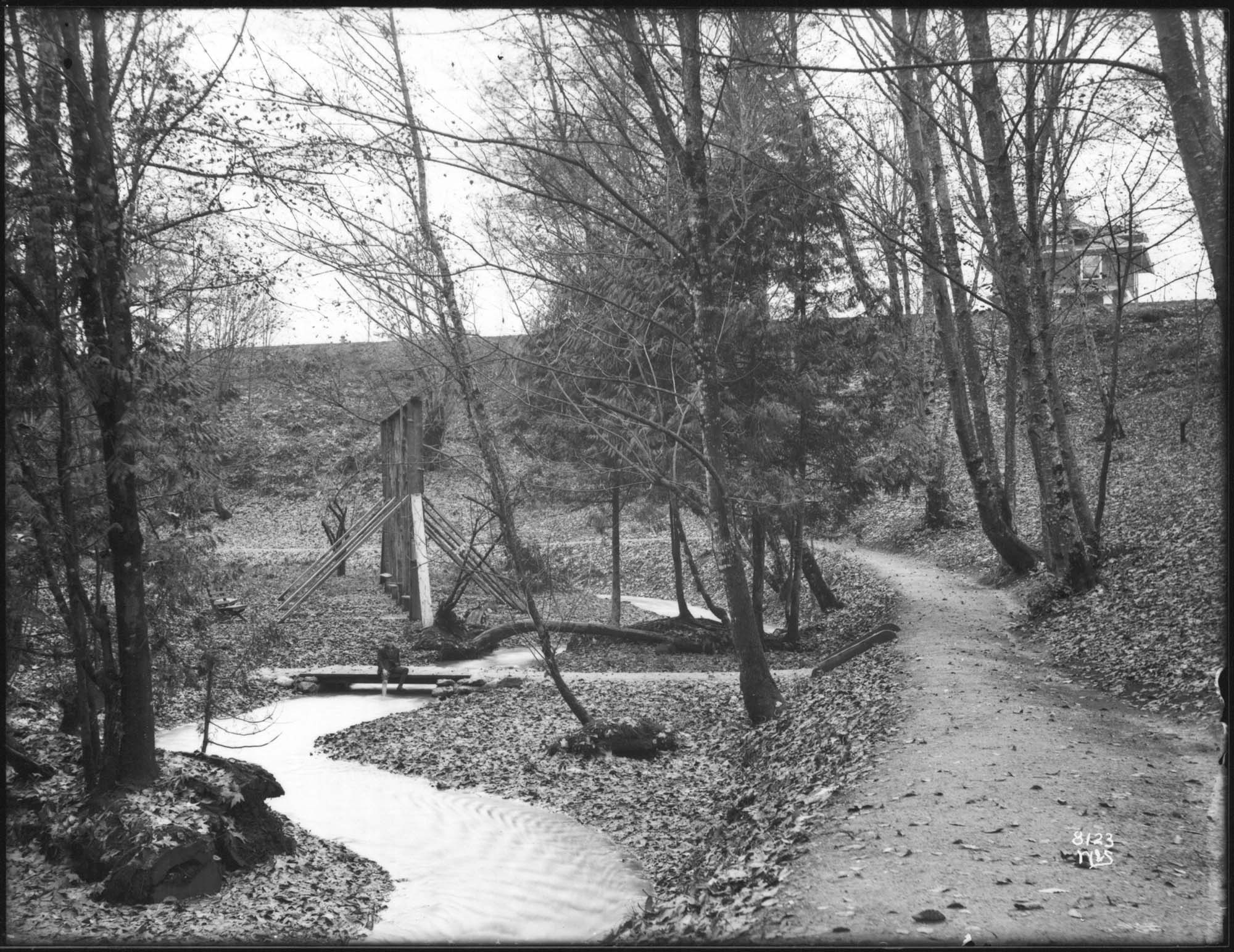 Image of Cowen Park, Seattle, circa 1911