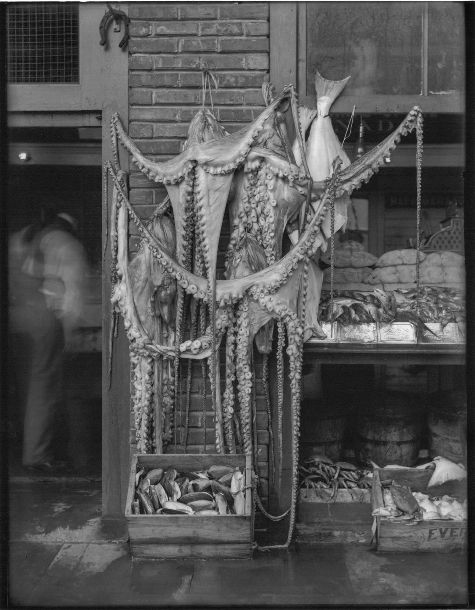 Image of Seafood on display, Seattle, circa 1908