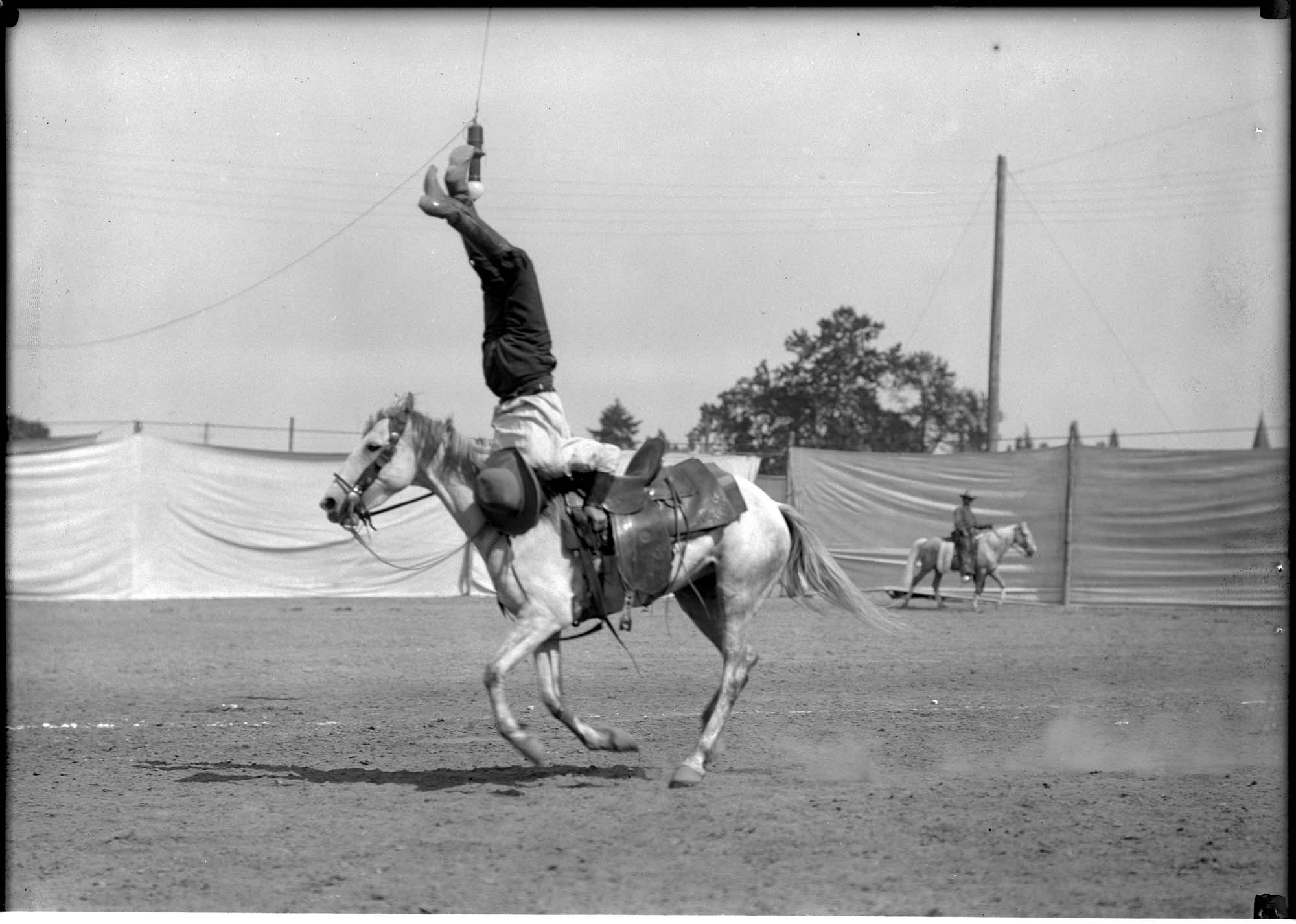 Image of Cowboy trick rider, 1909