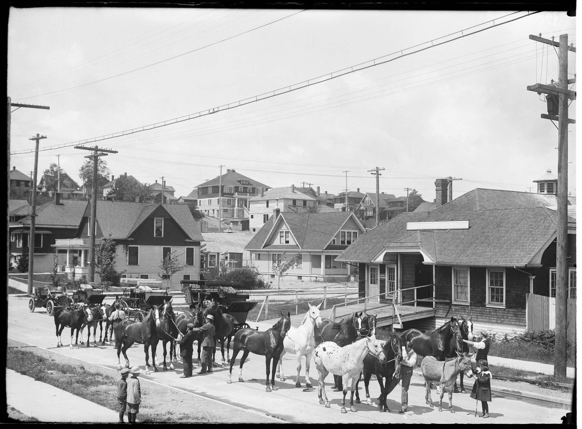 Image of Harry Whitney Treat's horses, Seattle, circa 1910