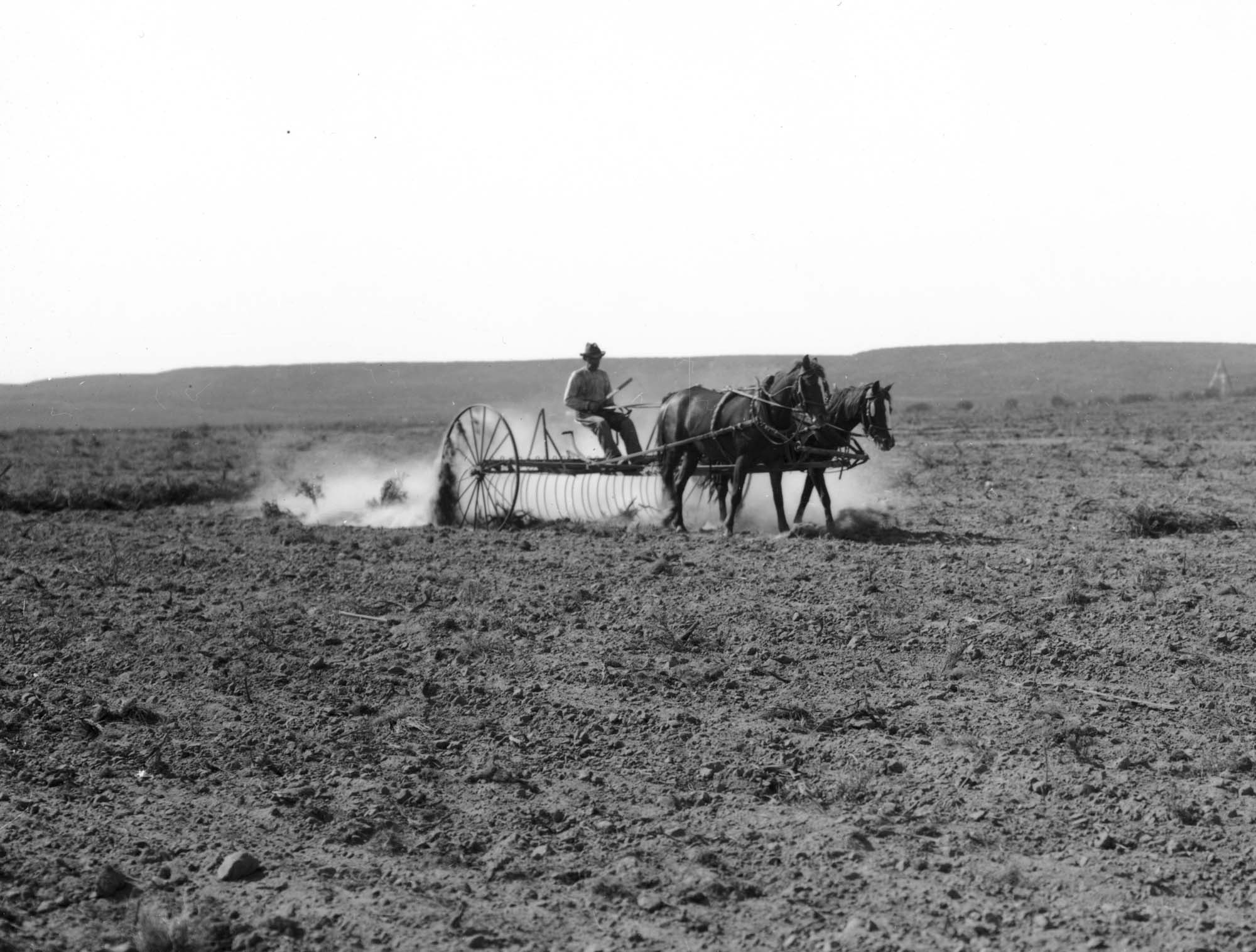 Image of Horse-drawn equipment breaking up raw ground, circa 1913