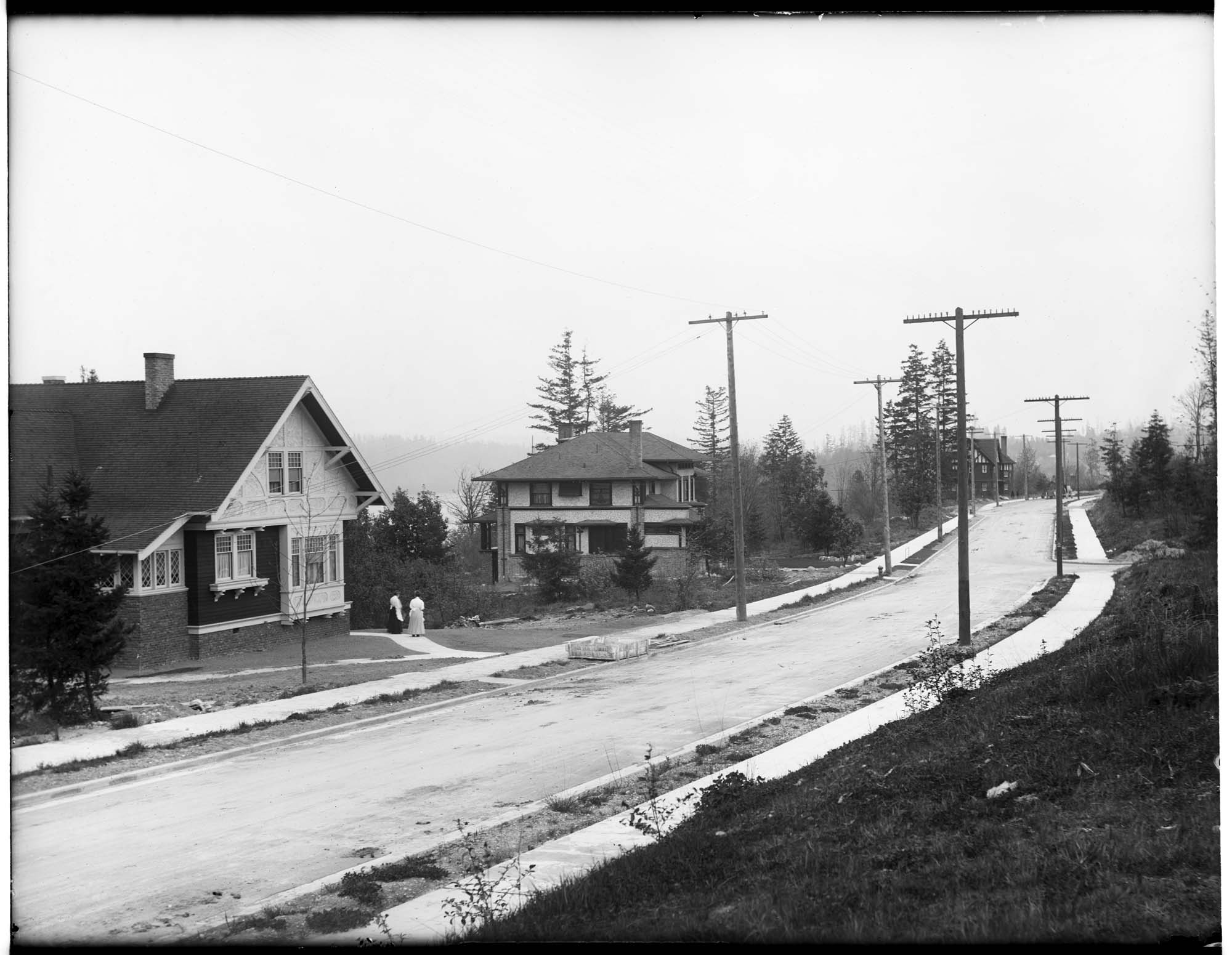 Image of Homes on Cascadia Avenue South, Seattle, circa 1914