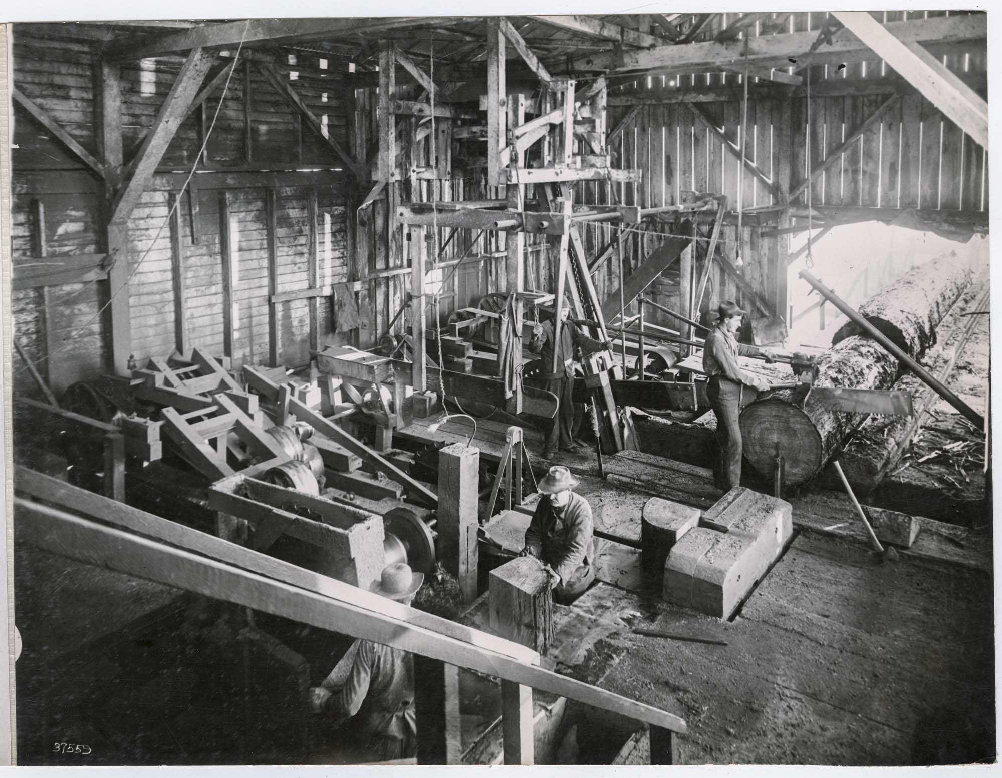 Image of Workers in shingle mill, circa 1915