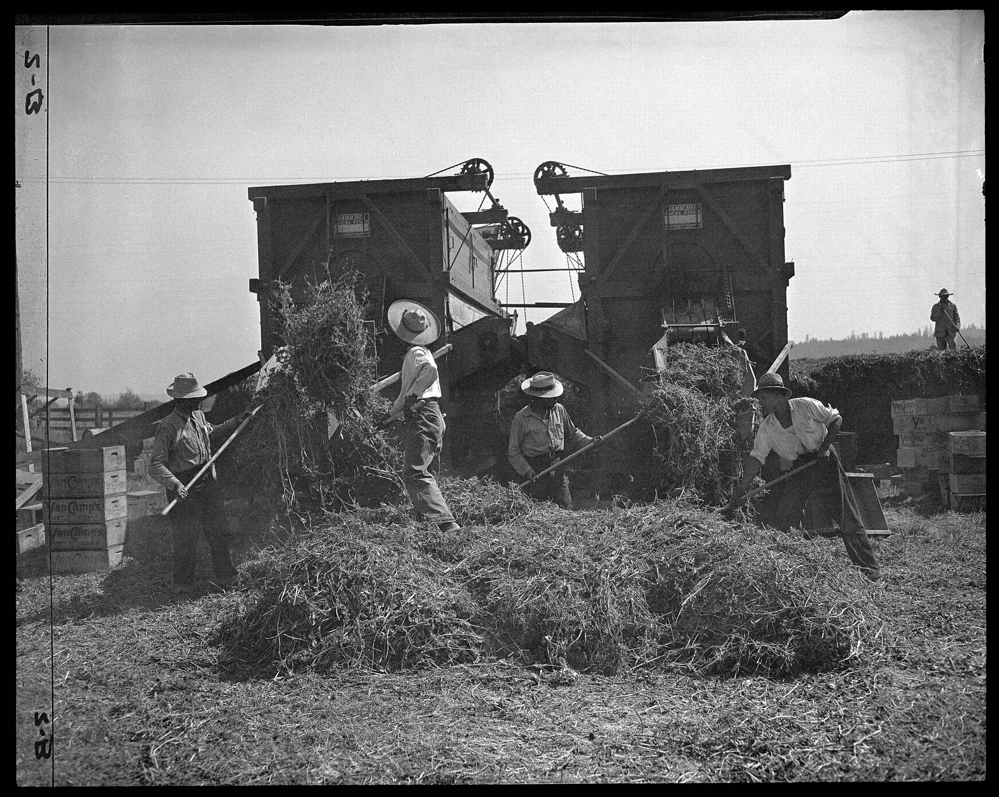 Image of Migrant workers harvesting hay, 1944