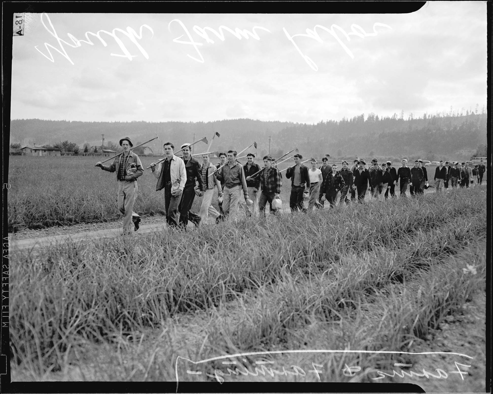 Image of Teenage farm workers returning from the fields, June 1942