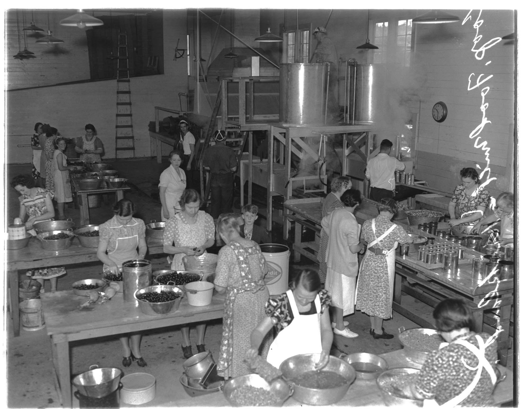 Image of Women working at the Kirkland Cooperative Cannery, Kirkland, July 13, 1939