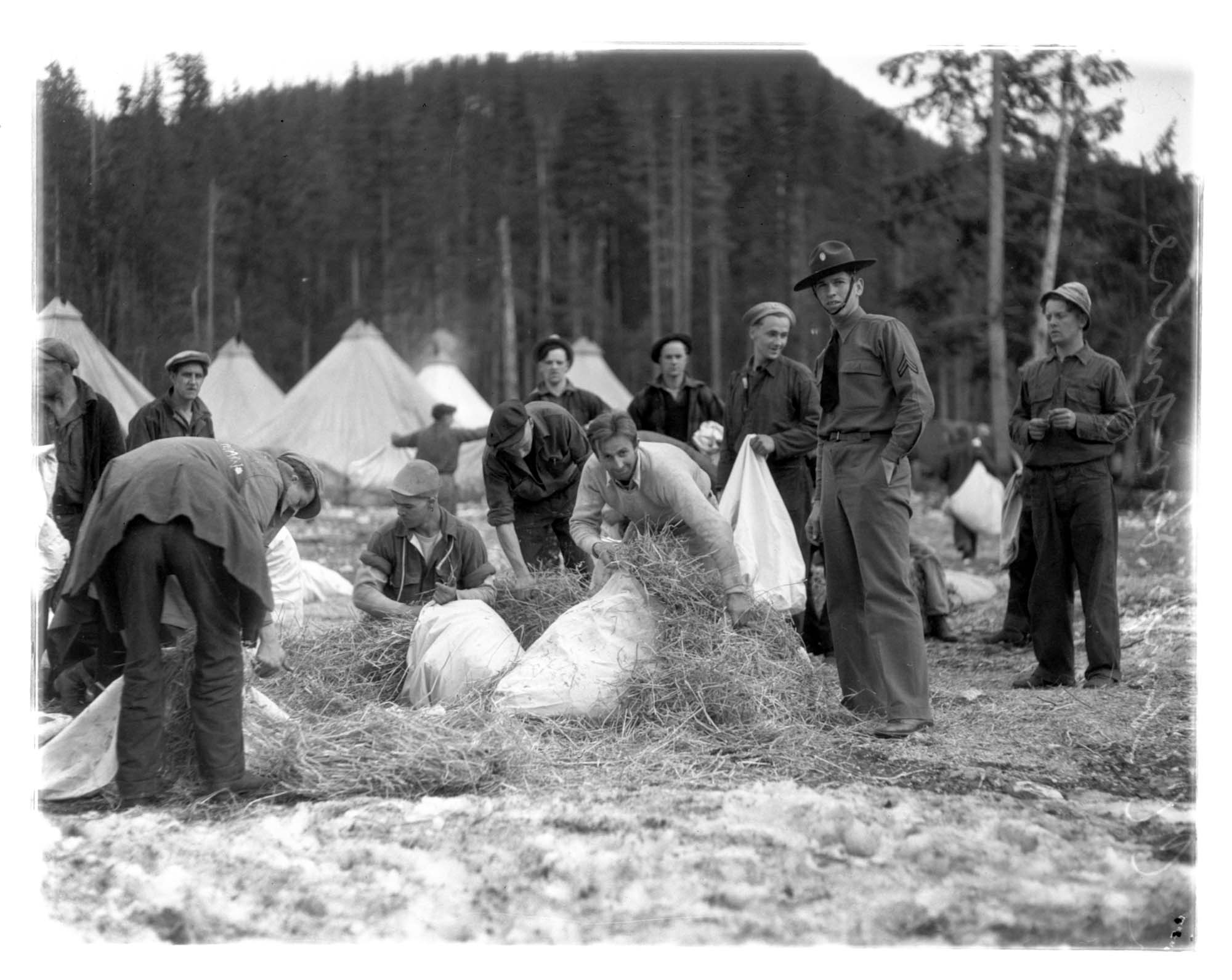 Image of Men stuffing mattresses for camp, Civilian Conservation Corps, Longmire, circa 1937