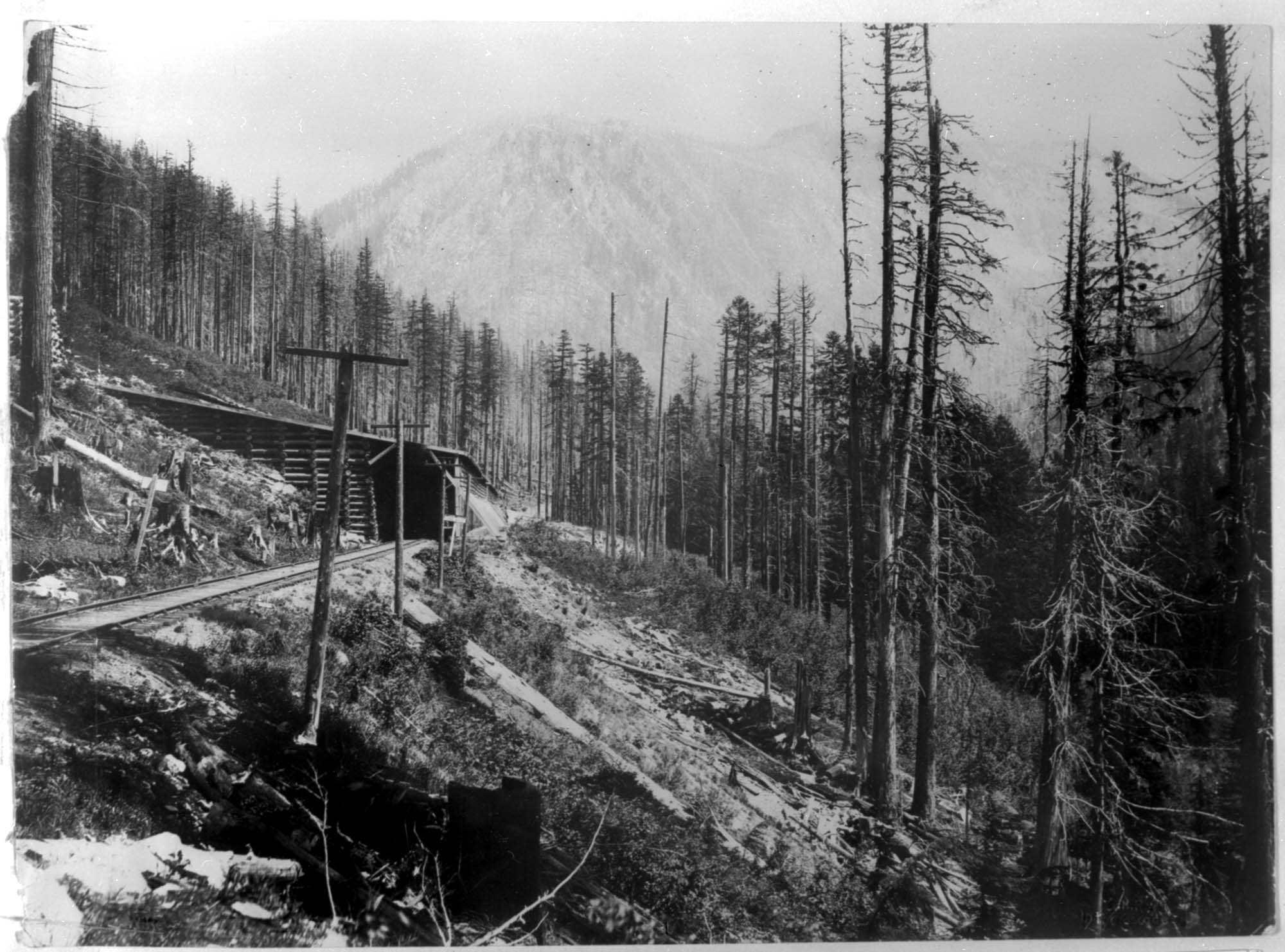 Image of Great Northern Railway snowshed no. 2-B, circa 1898