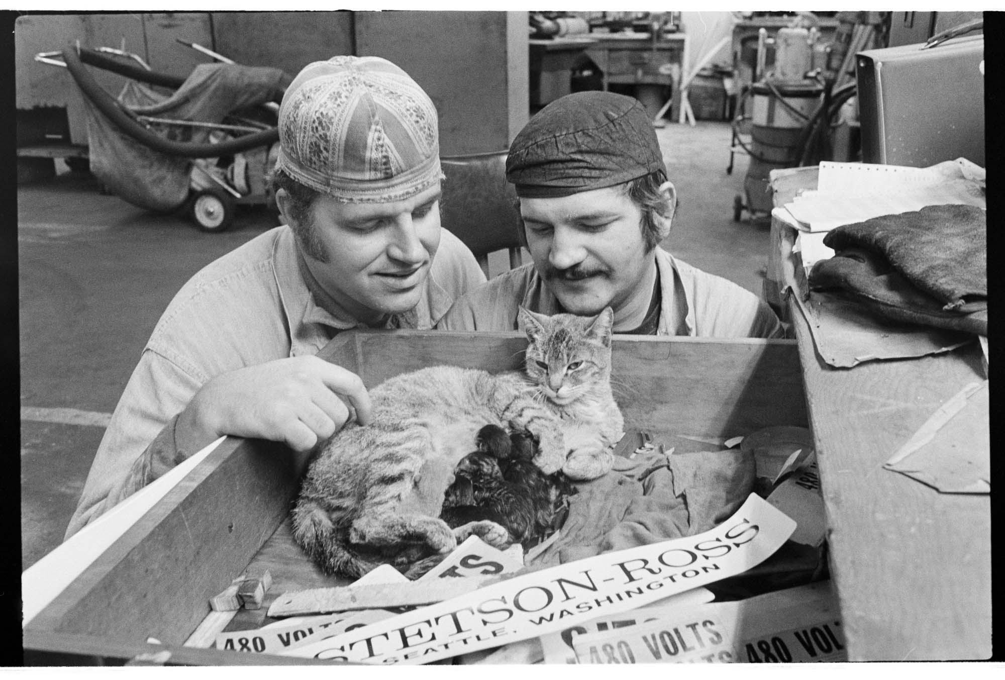 Image of Cat with six kittens in a foreman's desk drawer at Stetson-Ross Machine Co.,  November 1975