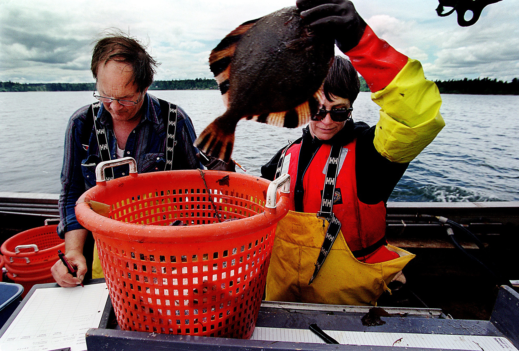 Image of State scientists testing fish at Eagle Harbor, November 9, 2002